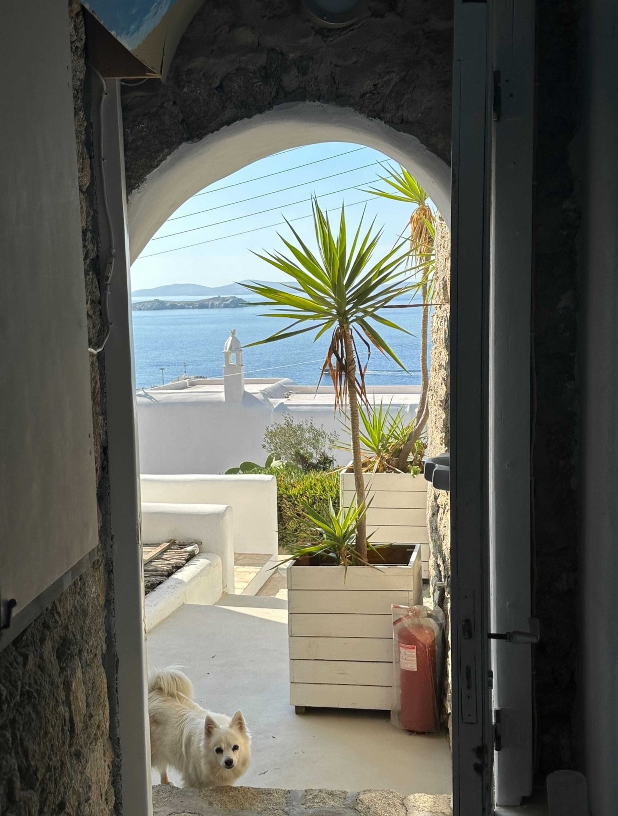 Mykonos central style 18
