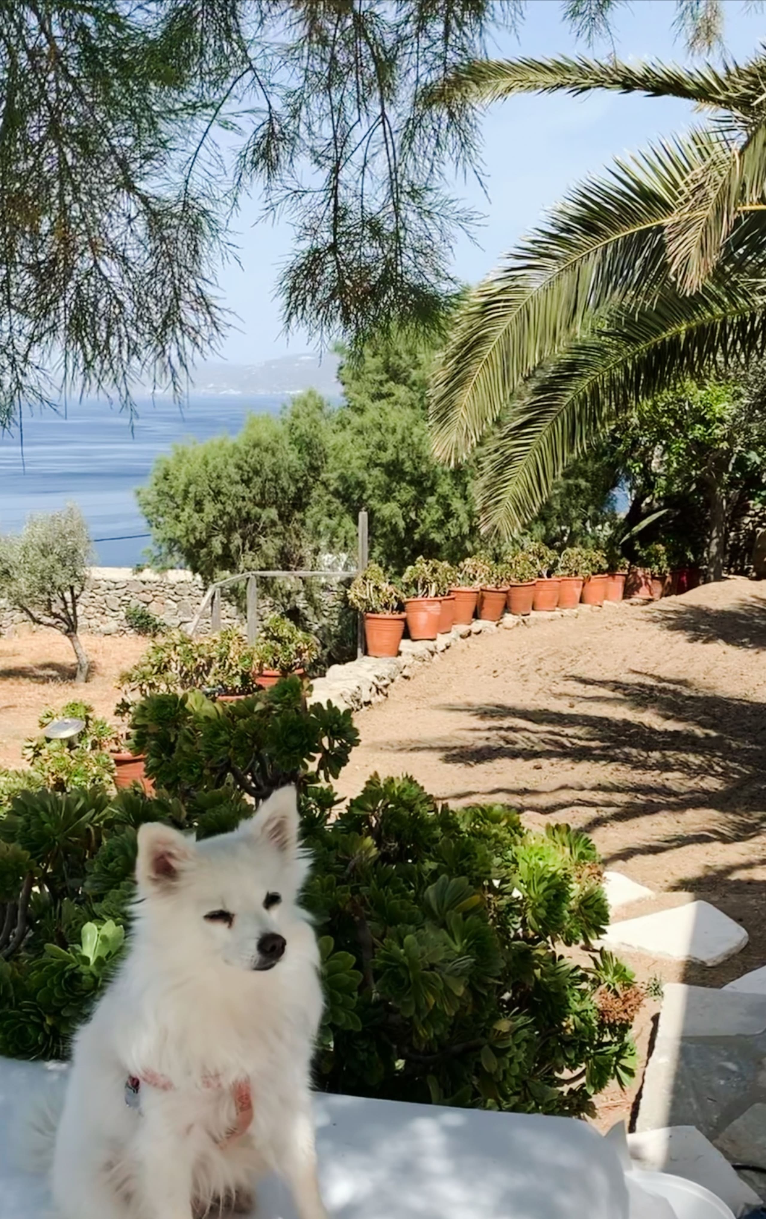 Mykonos central style 15