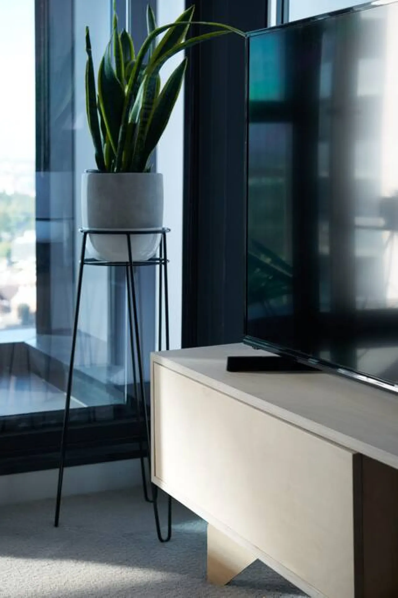 Alexa: 2 Bed, 2 Bath Apartment 9