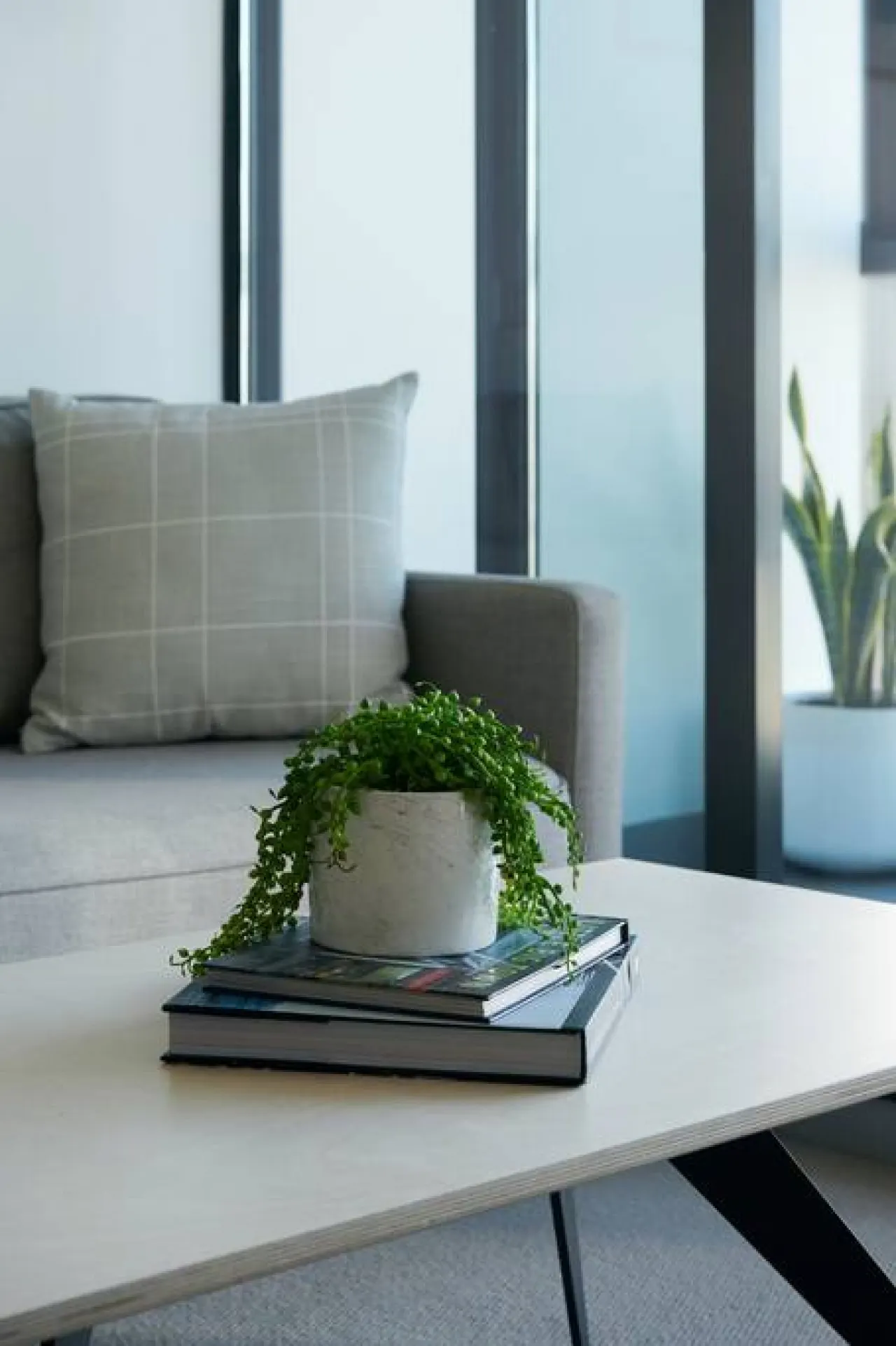 Alexa: 2 Bed, 2 Bath Apartment 6