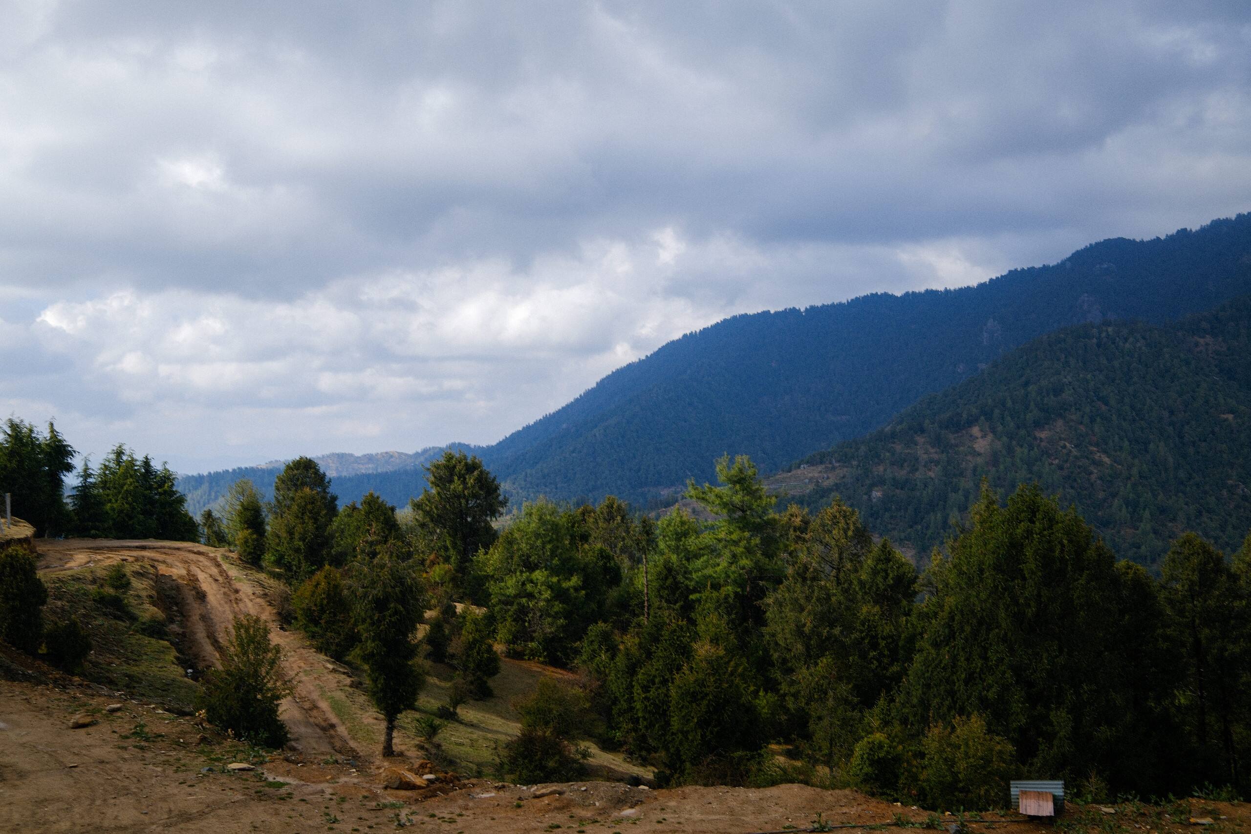 Private hilltop homestay on a Himachal ridge 3