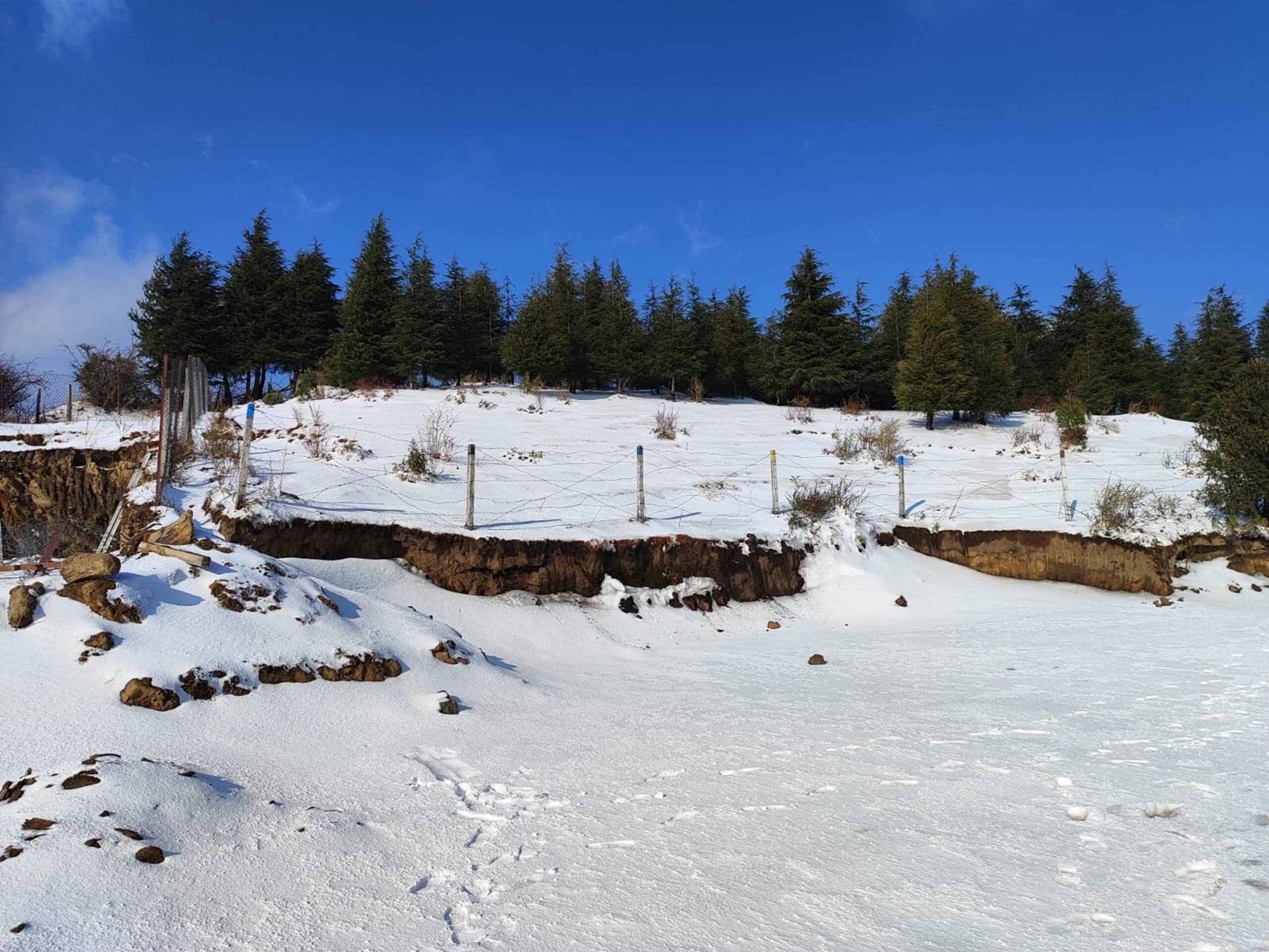 Private hilltop homestay on a Himachal ridge 8