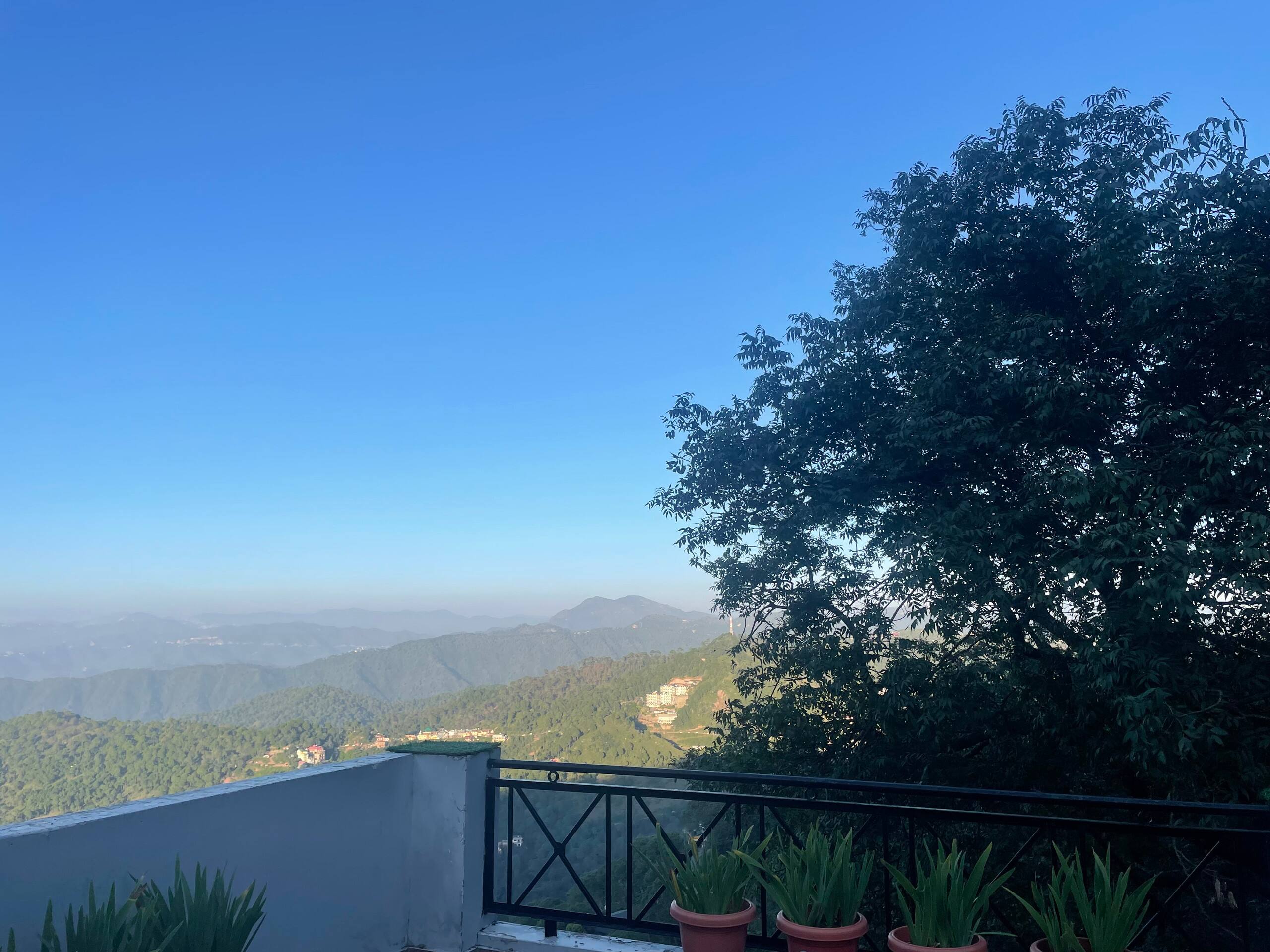 3 Bedroom Homestead Villas | Kasauli 11
