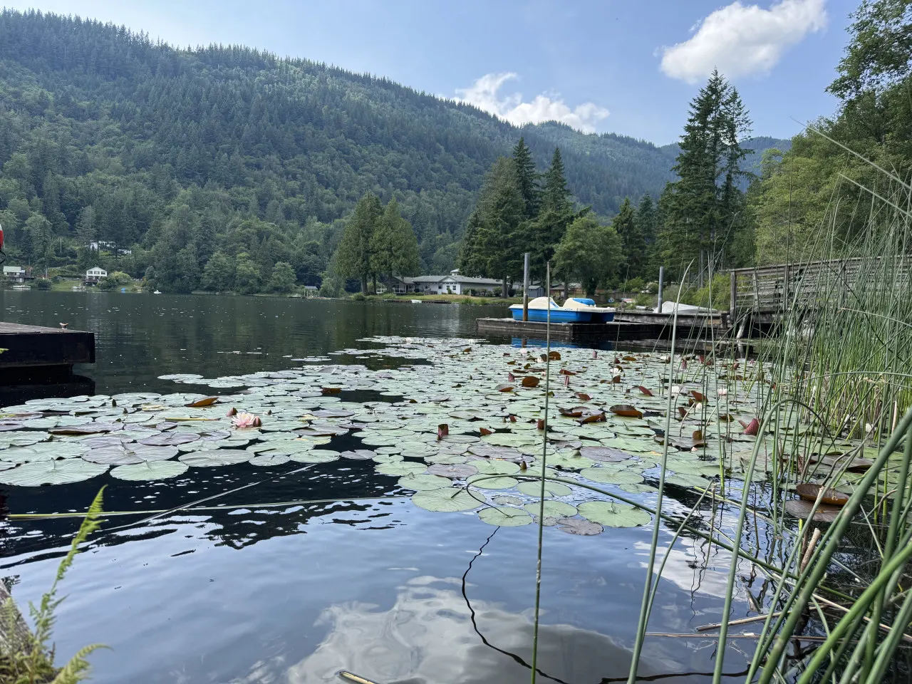 Lakeside Cabin w/ Dock, Boats & Stunning Views 15