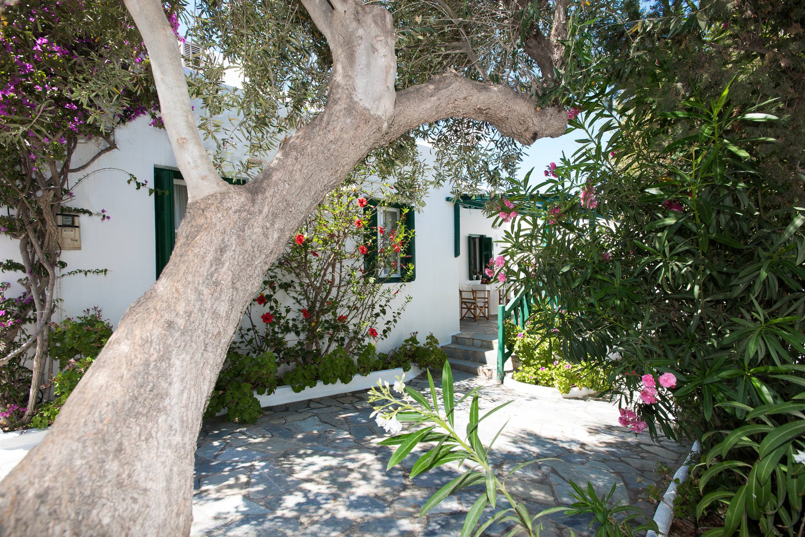 Charming House near Platis Gialos beach Mykonos — photo 3