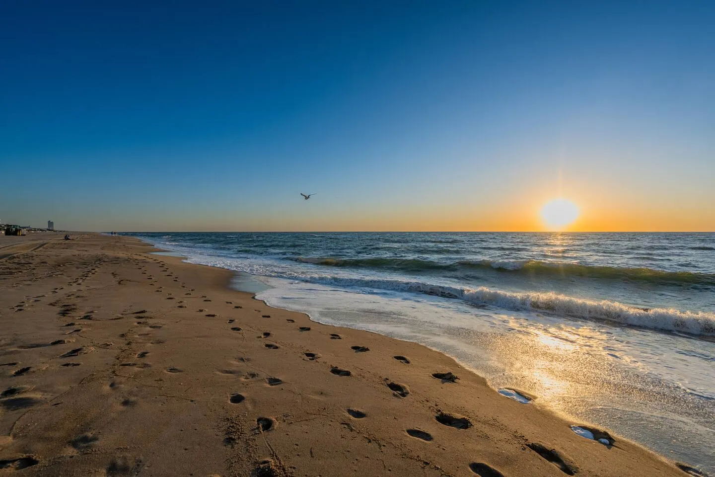 Beach front oasis-on the boardwalk! 2Bed 2Bath 14