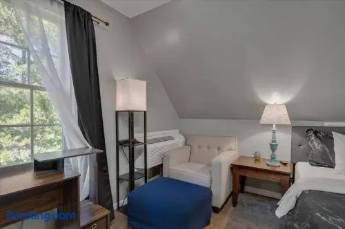 Private Pet-Friendly Studio Chapel Hill–Durham 10