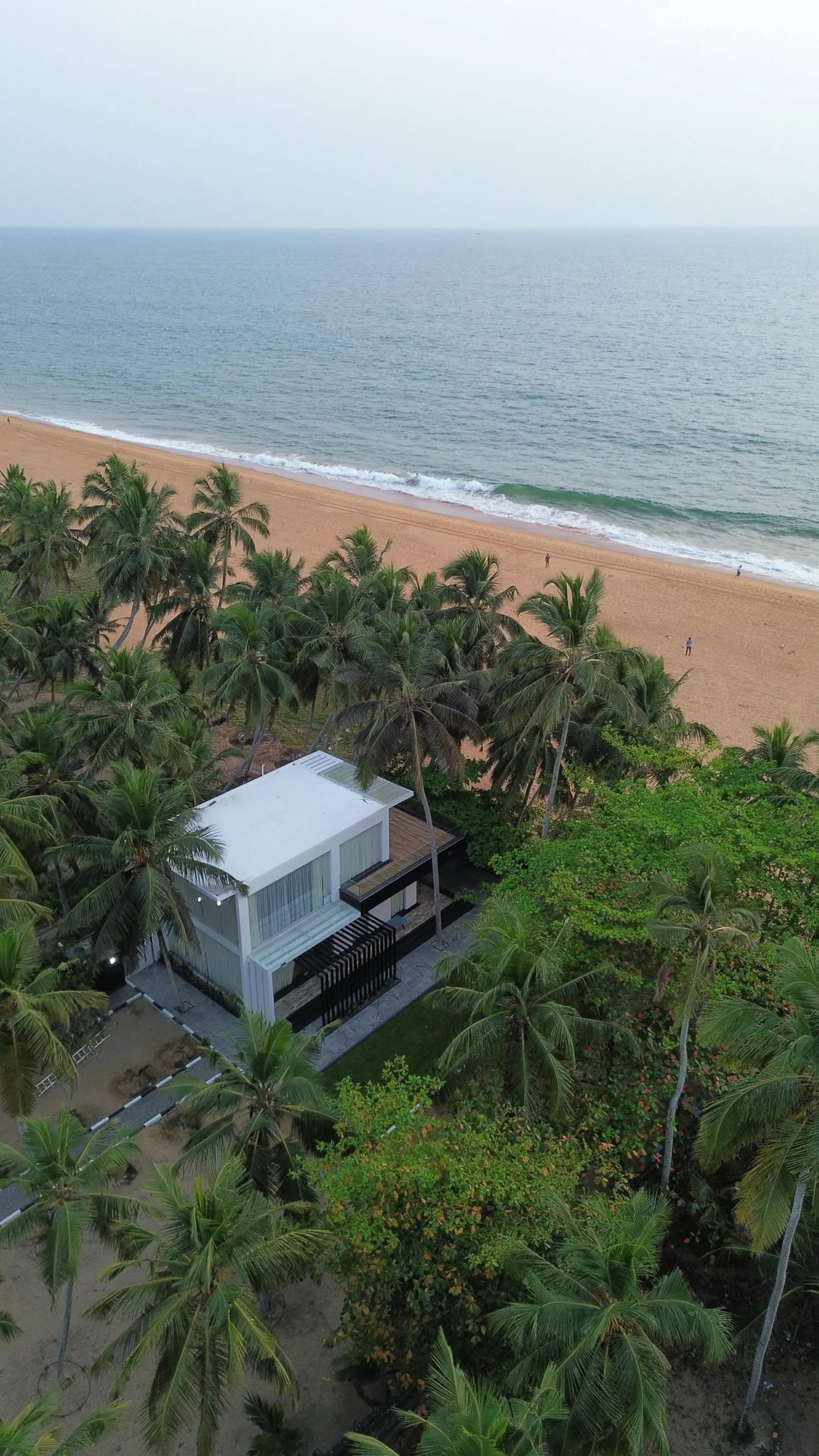 Tropical marina 21