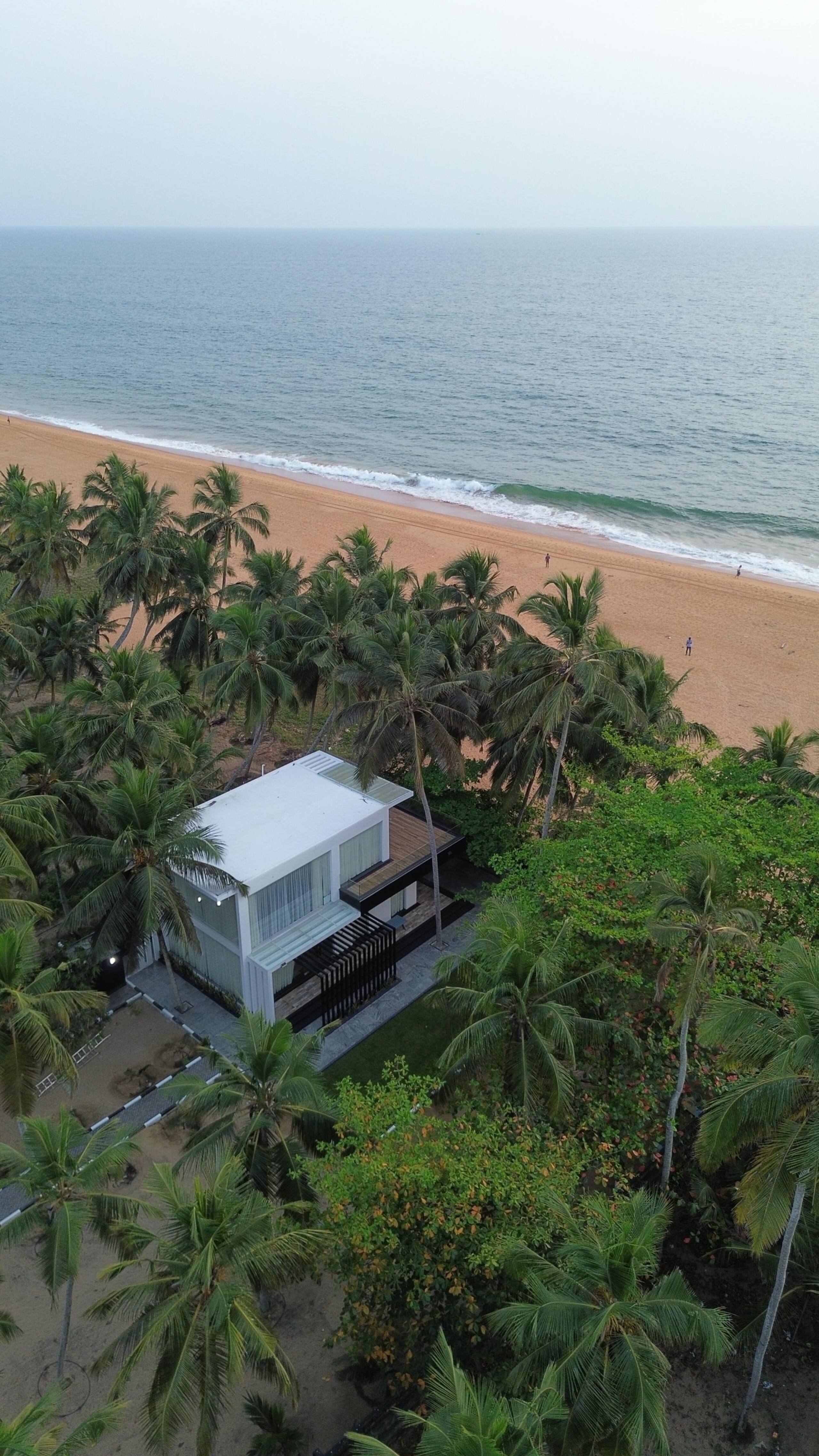 Tropical marina 21