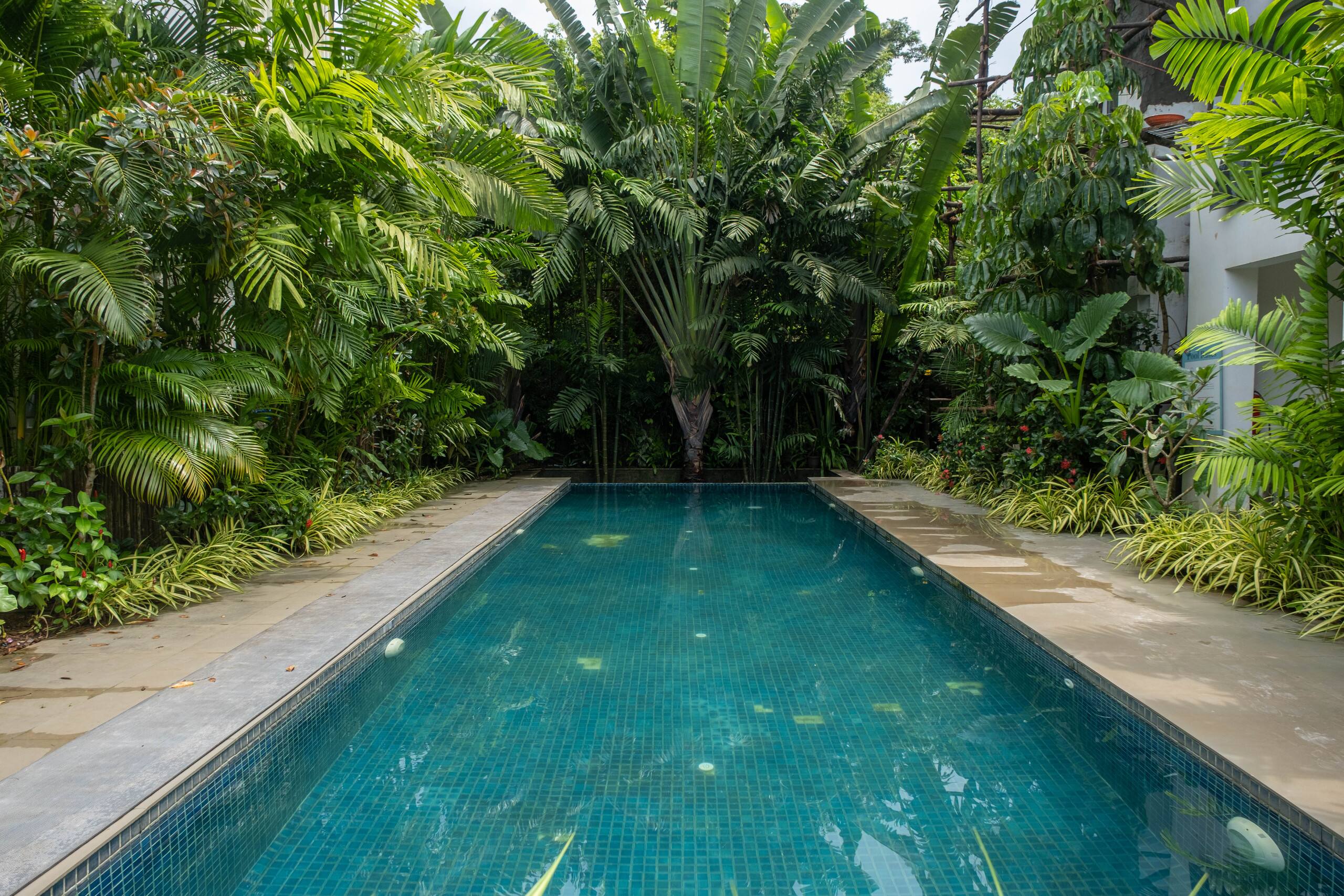 Dream of Goa - Villa in Siolim 25