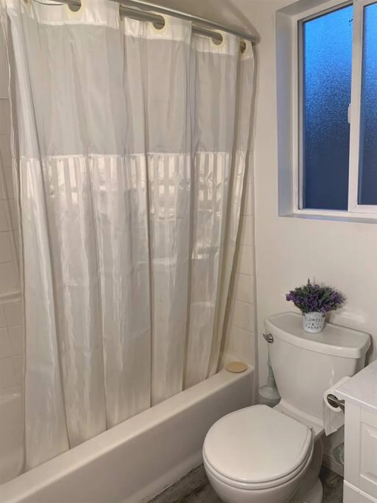 Cozy Lake-View Lodge #5 ( 2 BR near The Village) 12