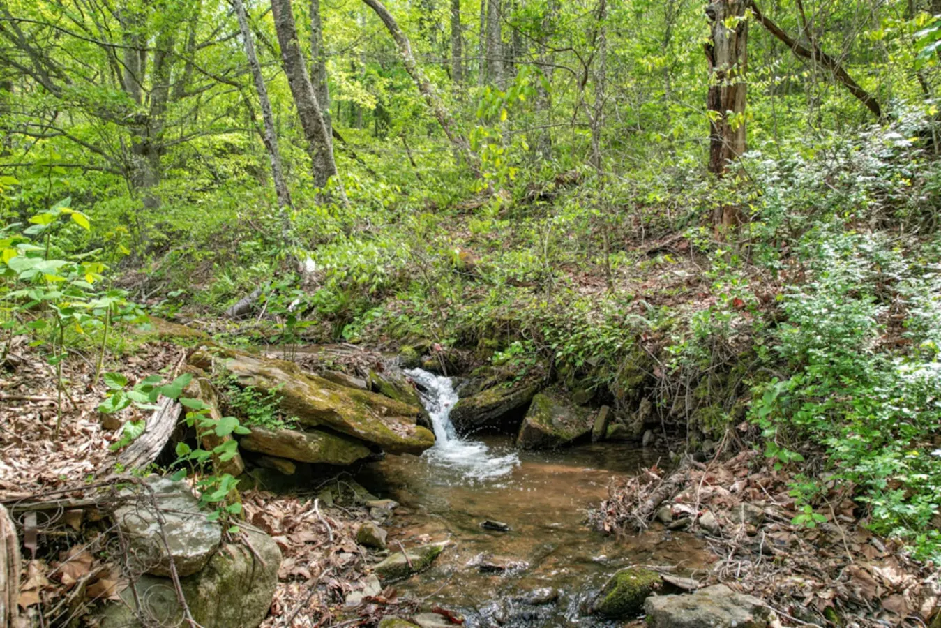 10 min to Asheville Creekside, Fire Table, Games 5
