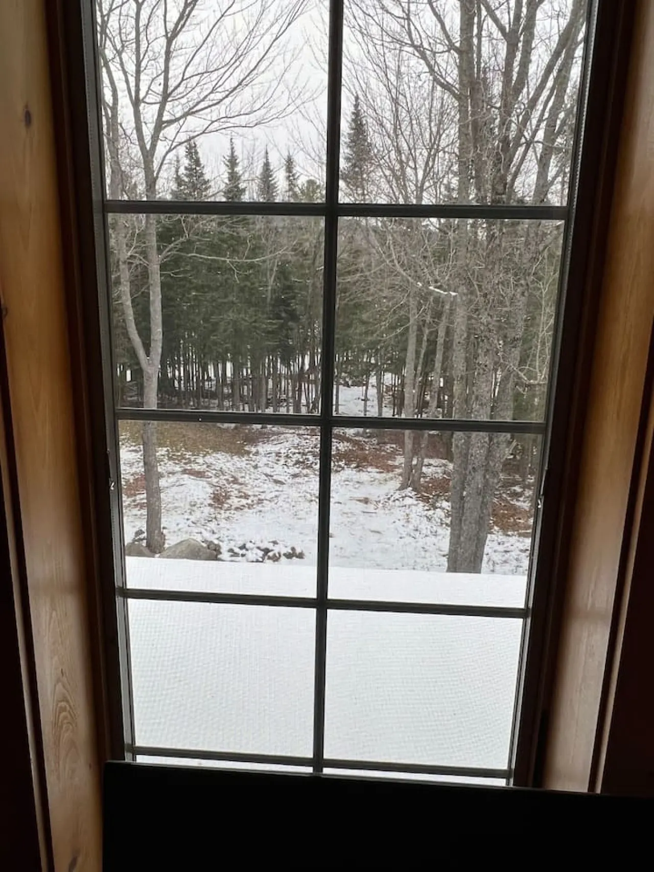 Prong Pond Cabin 12