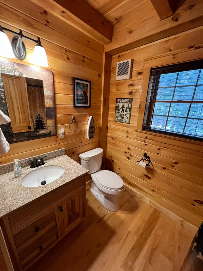 Prong Pond Cabin 19
