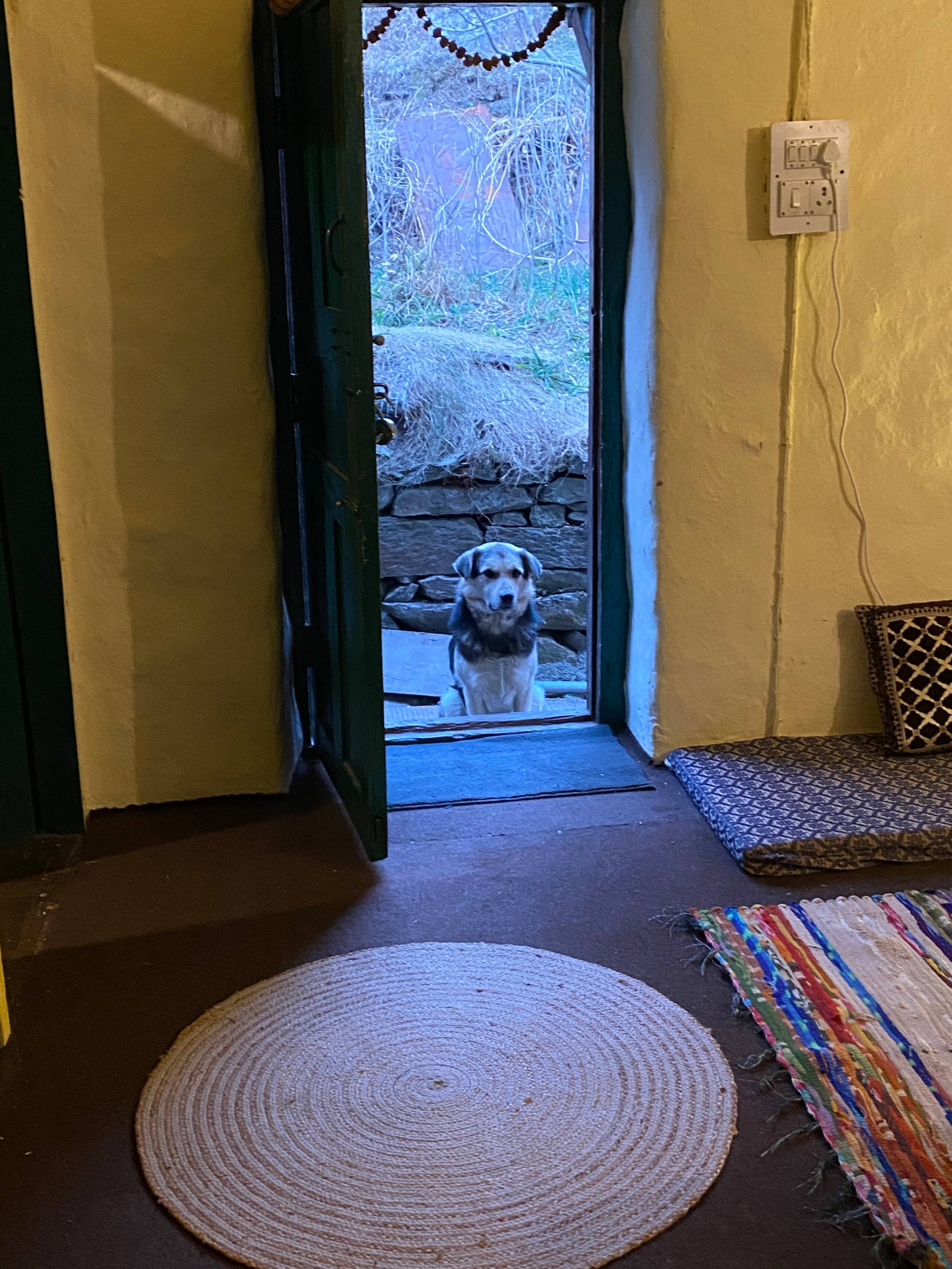 The Pahadi Studio ~Rustic Himalayan Wooden Home~ 20