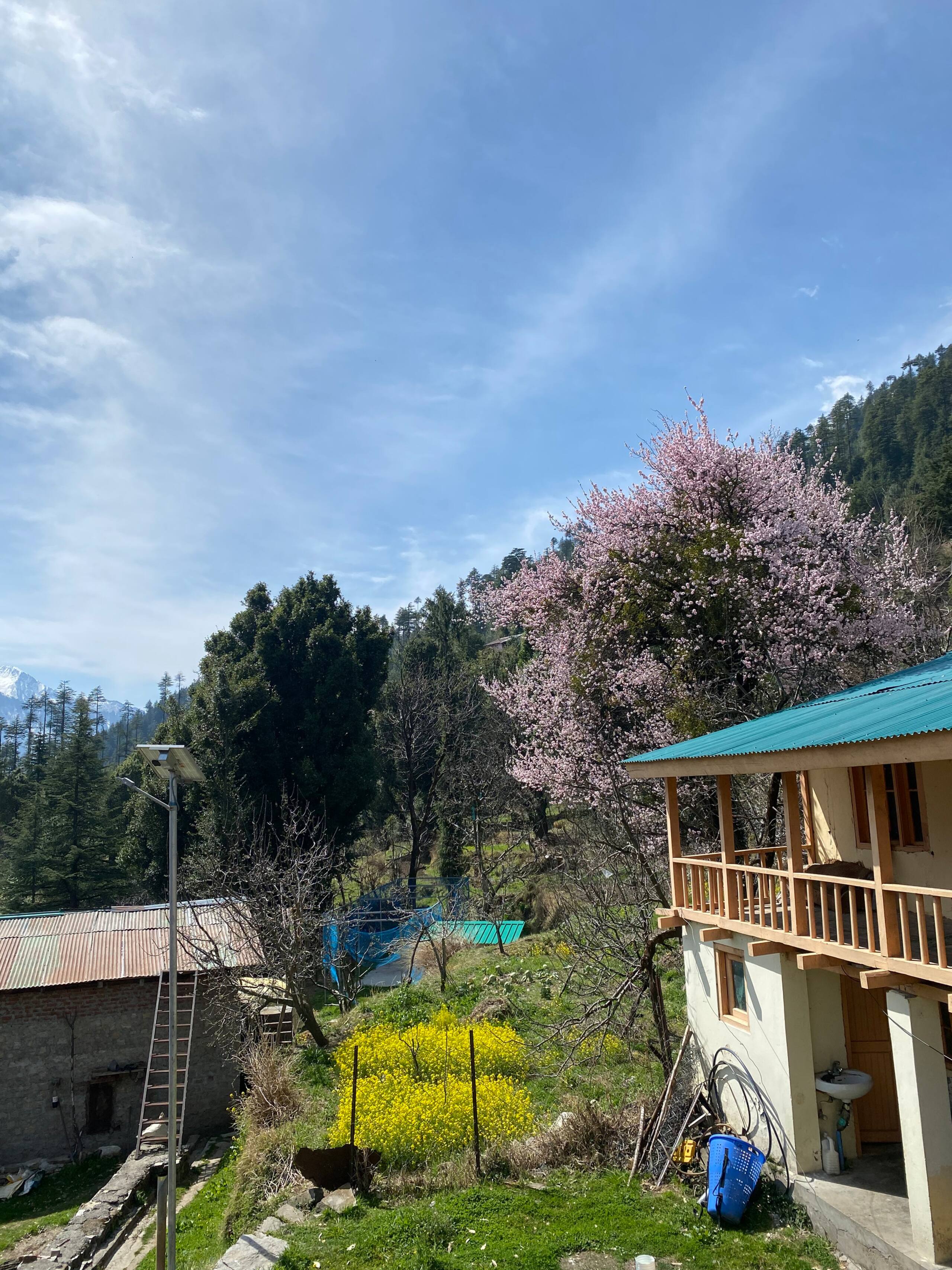 The Pahadi Studio ~Rustic Himalayan Wooden Home~ 14