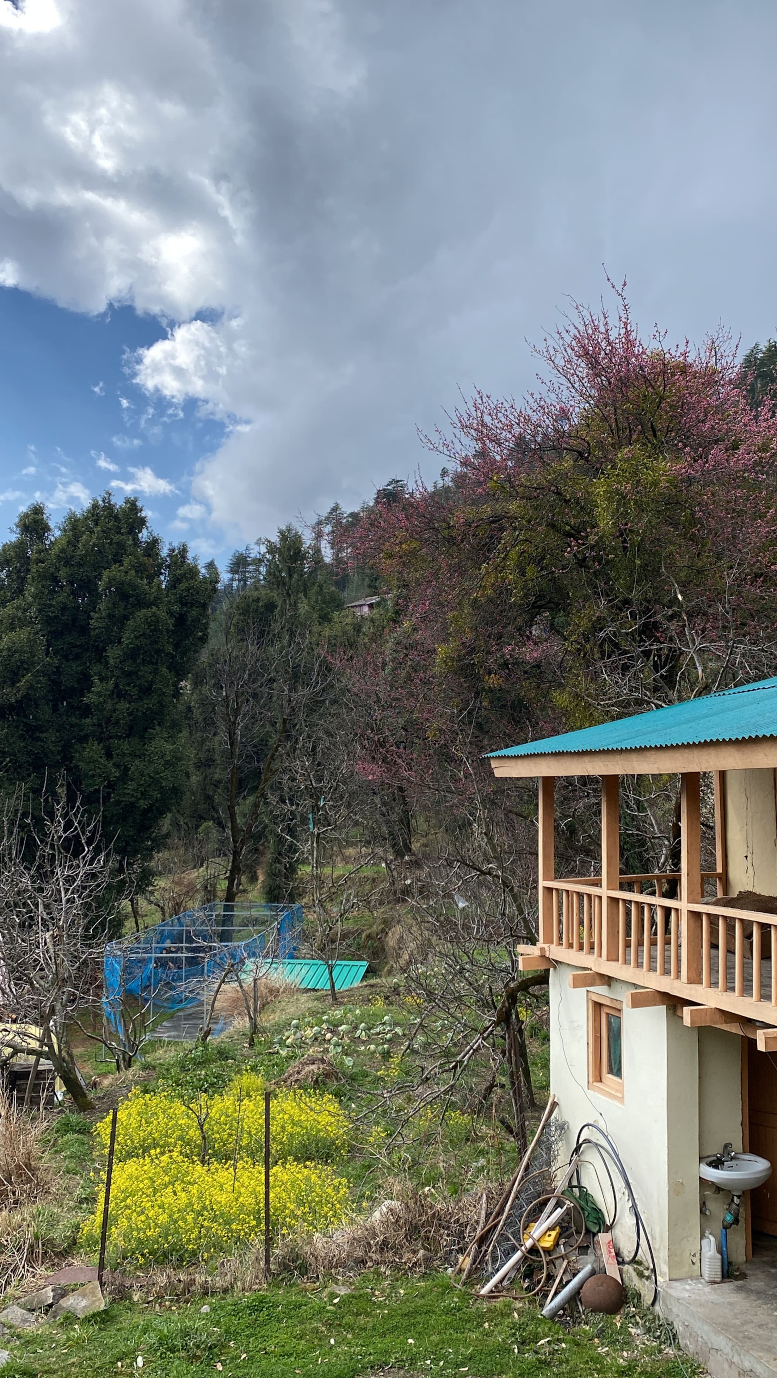 The Pahadi Studio ~Rustic Himalayan Wooden Home~ 16