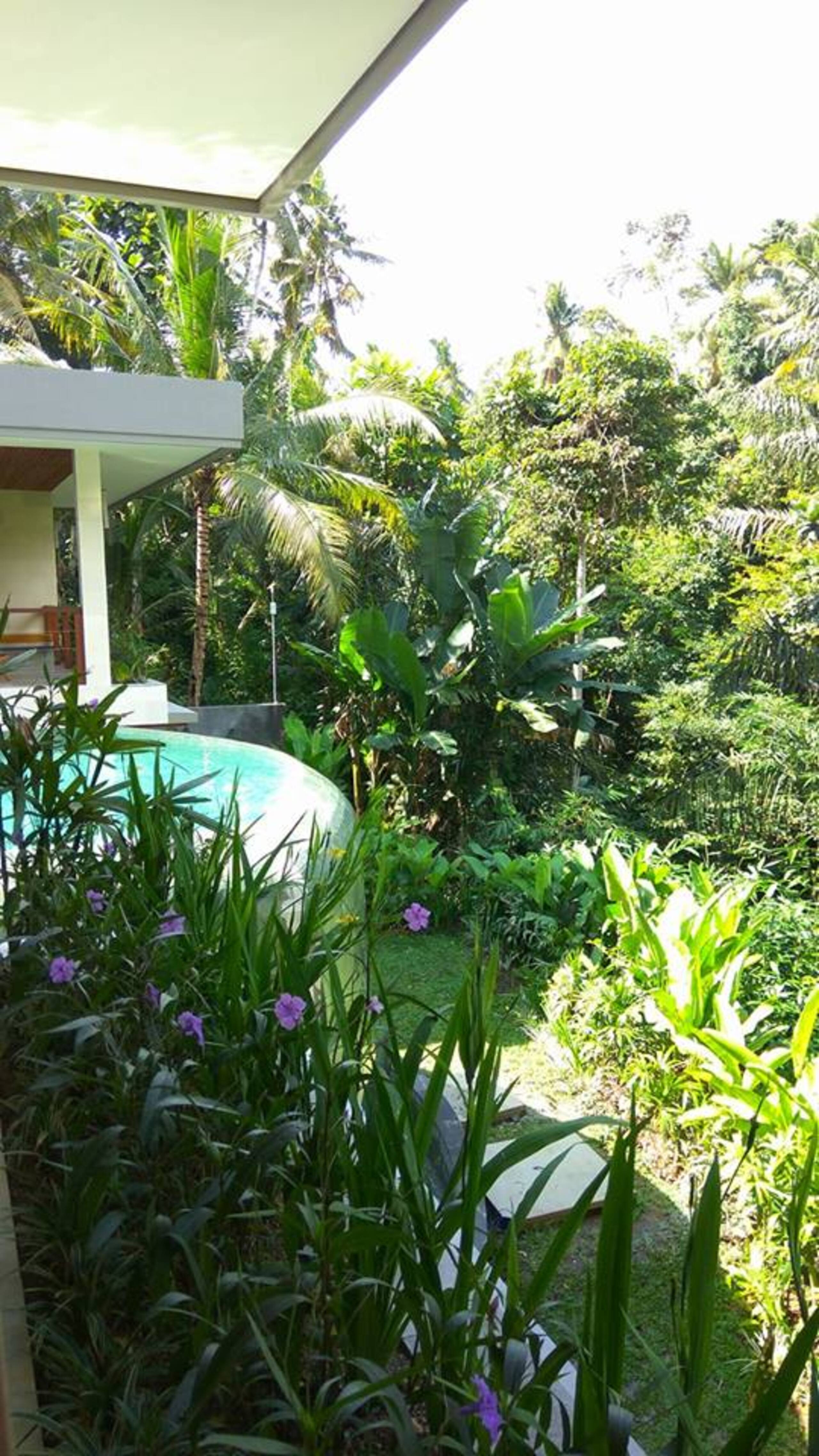 Luxury Villa 25