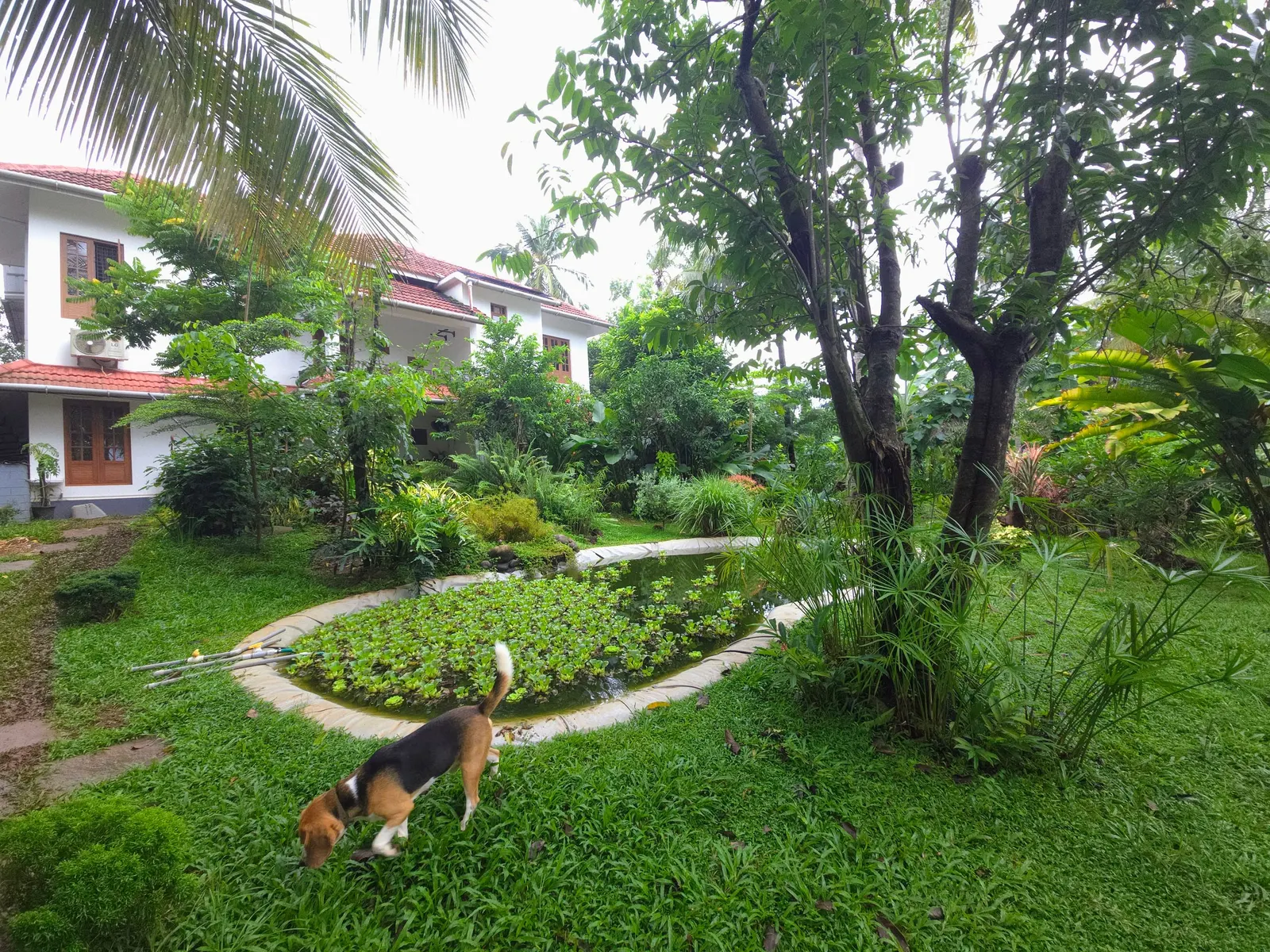 Ashrayam Homestay 30