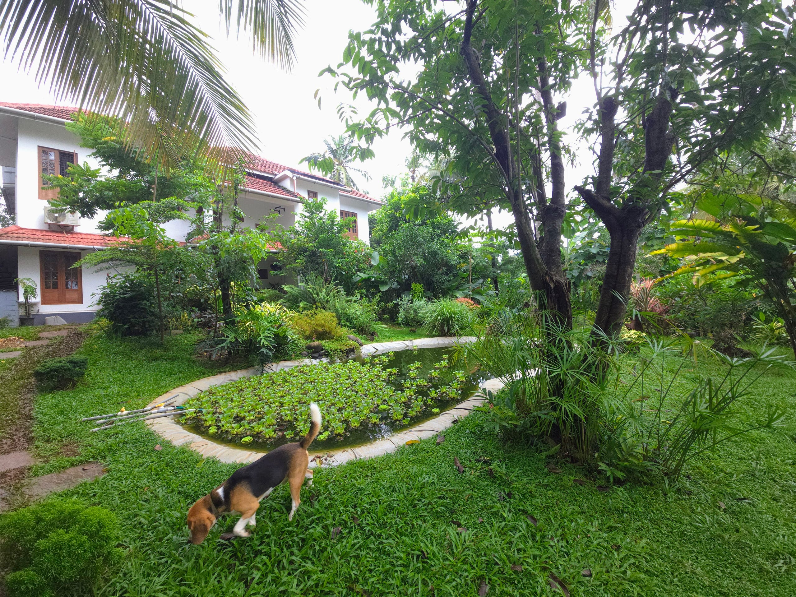Ashrayam Homestay 30