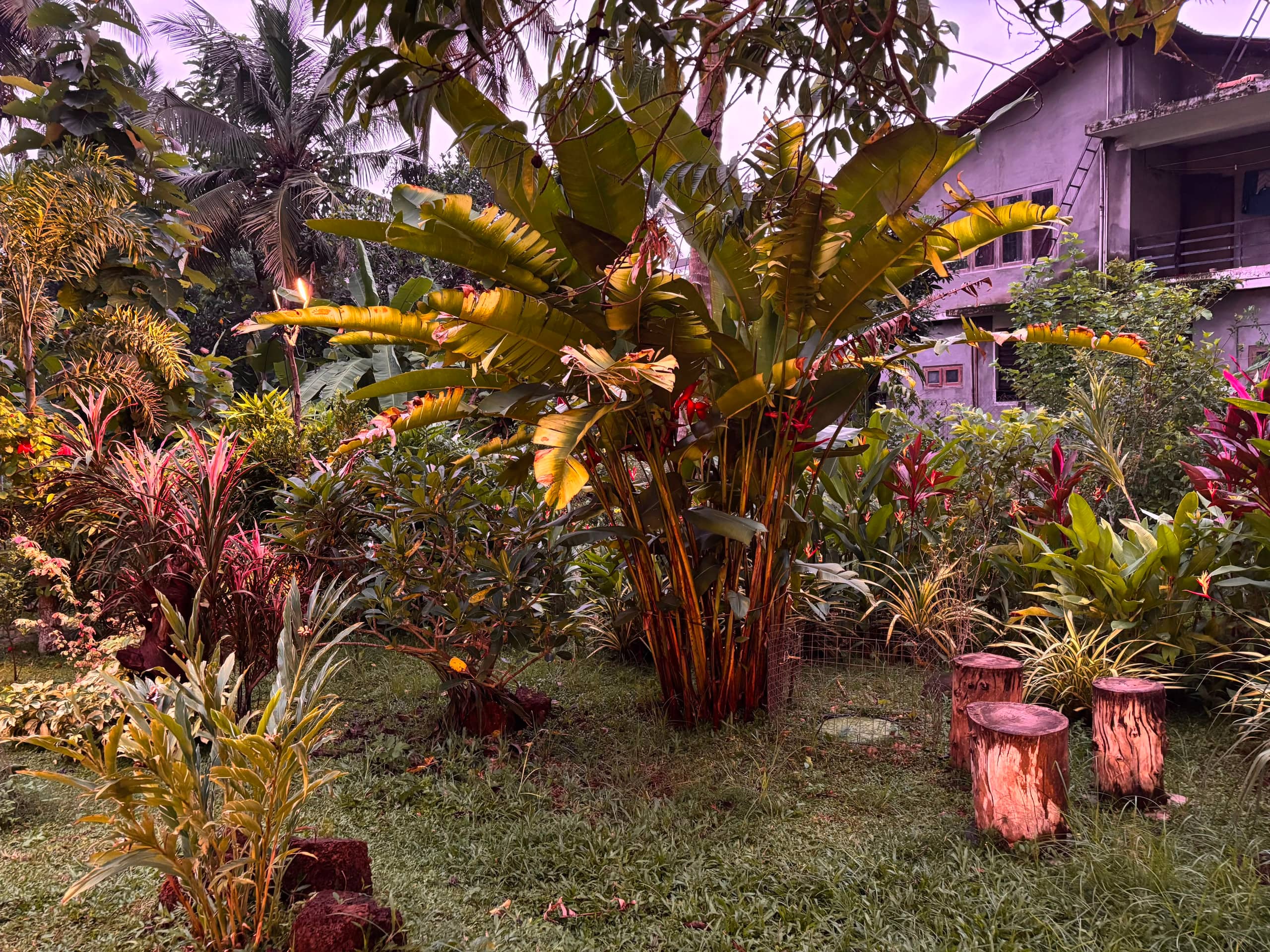 Ashrayam Homestay 31