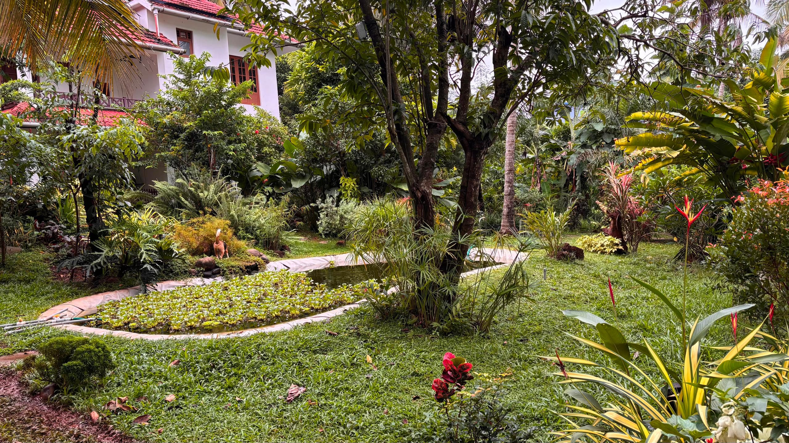 Ashrayam Homestay 28