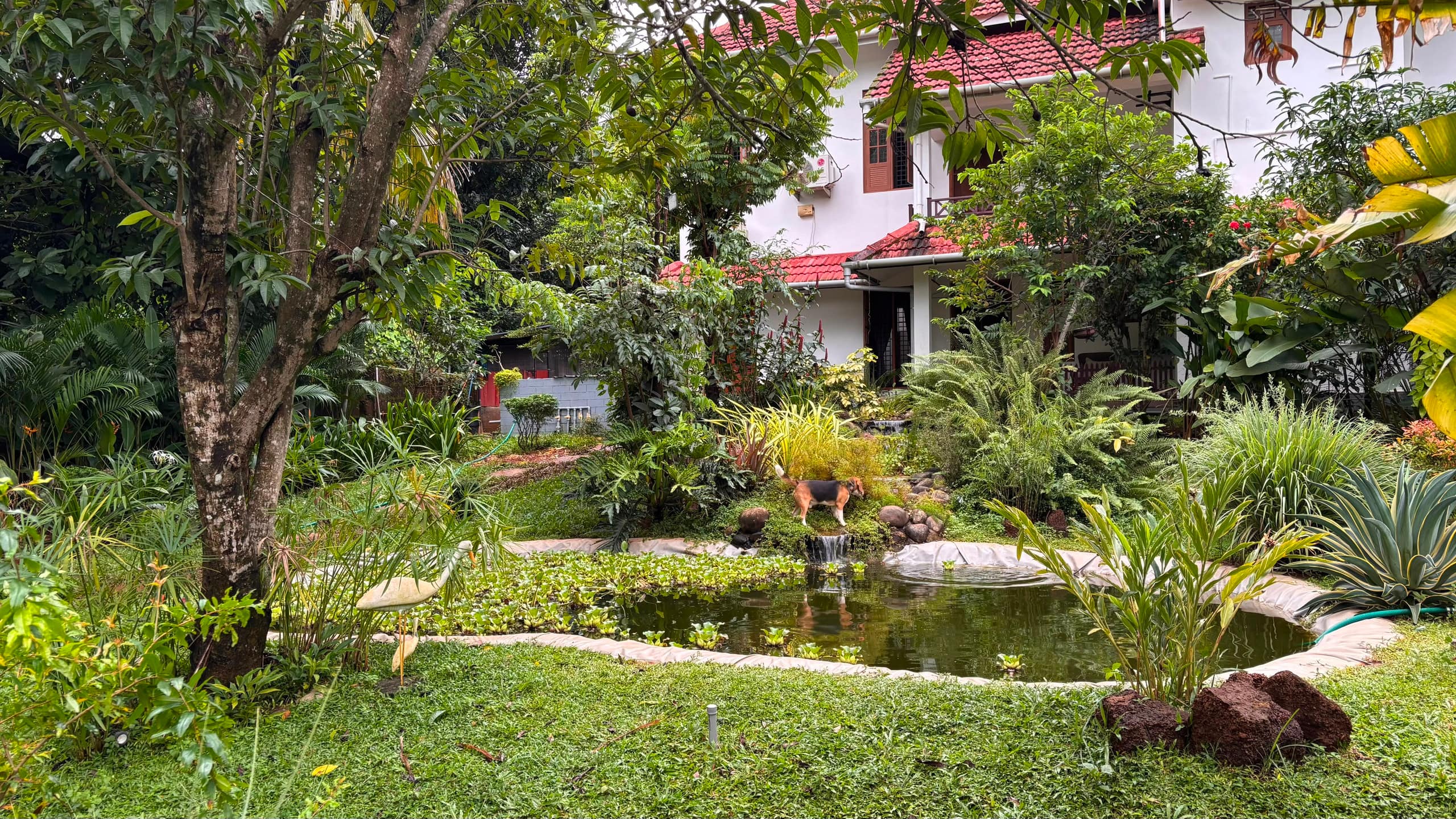Ashrayam Homestay 27