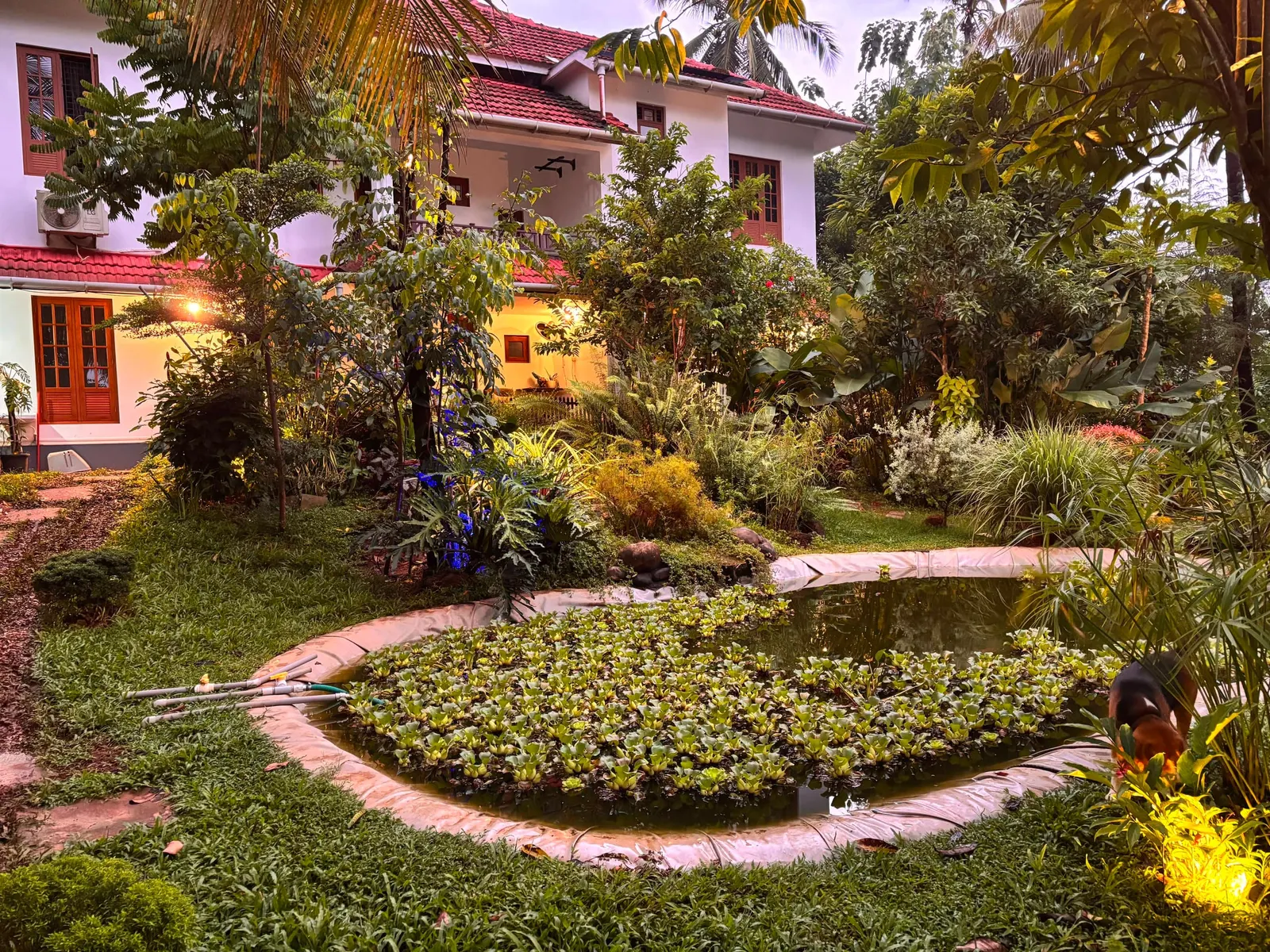 Ashrayam Homestay 32