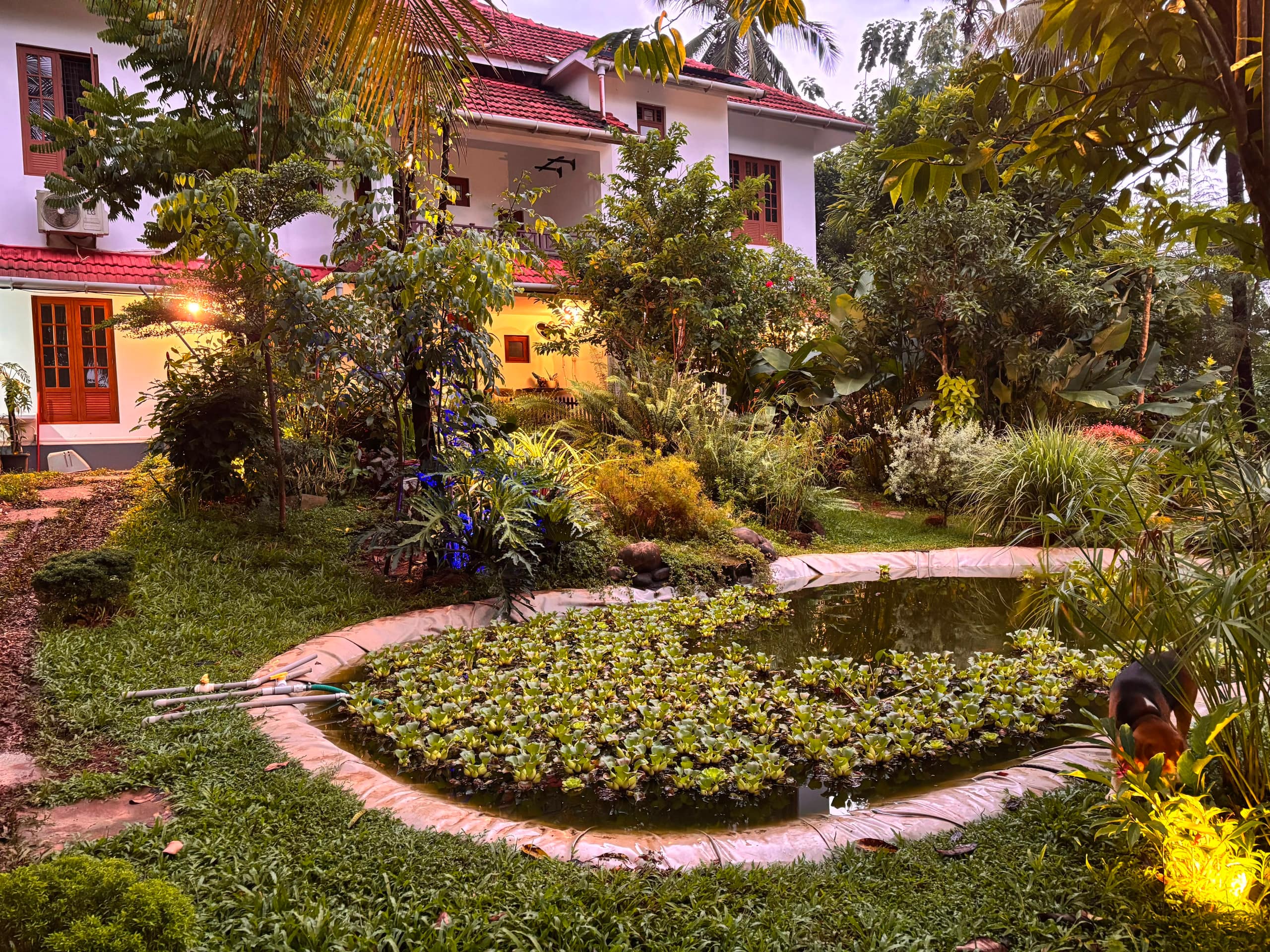 Ashrayam Homestay 32
