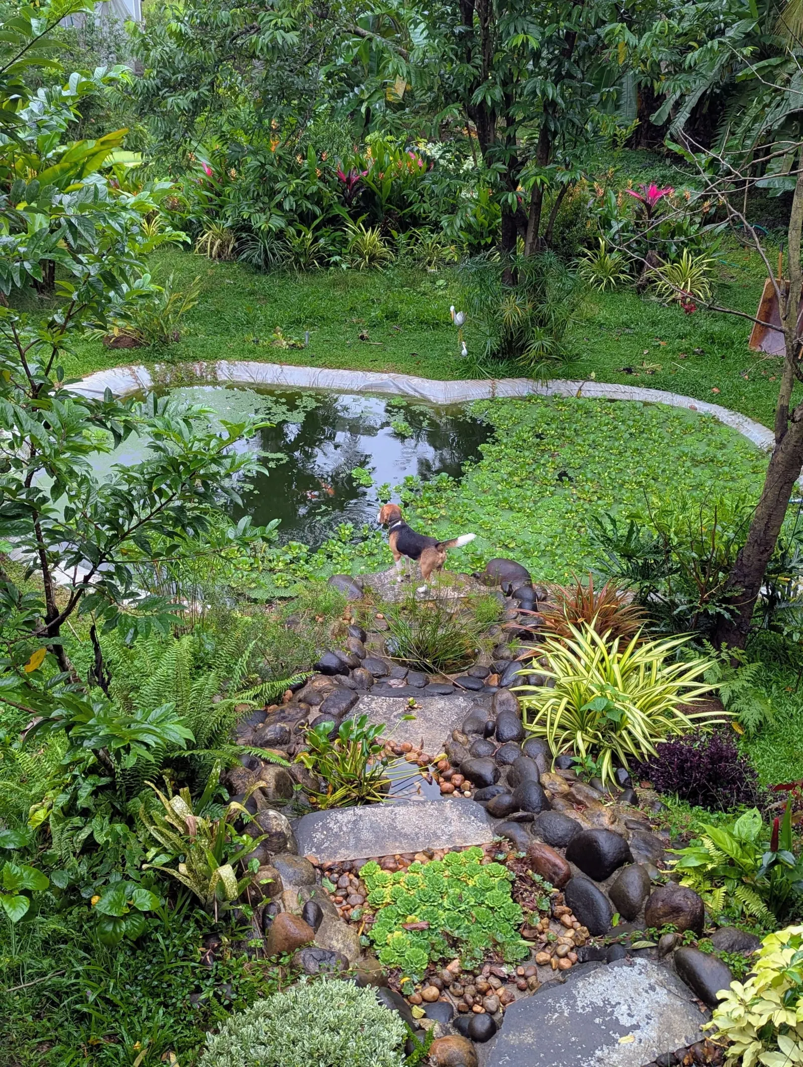 Ashrayam Homestay 29
