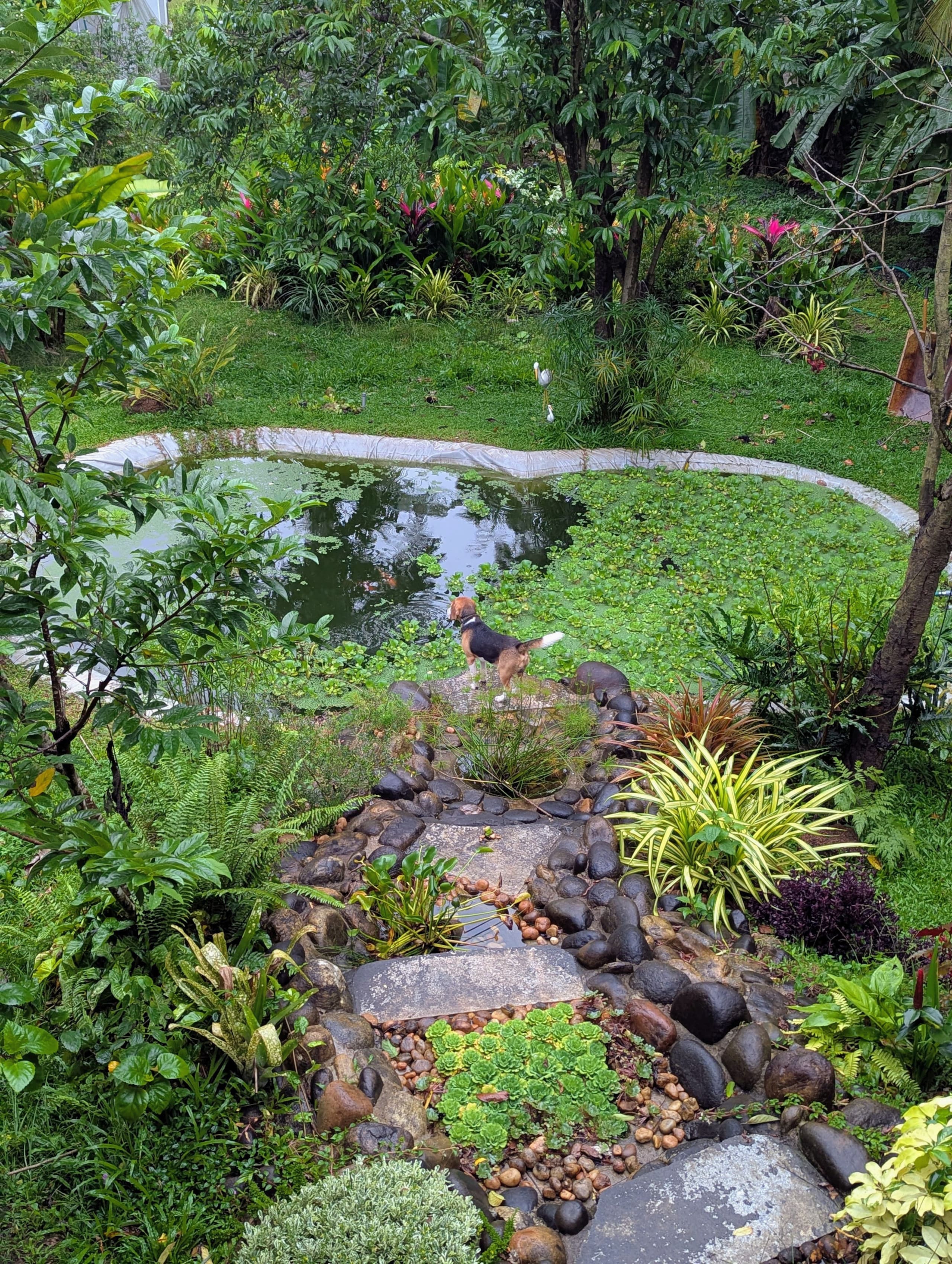 Ashrayam Homestay 29