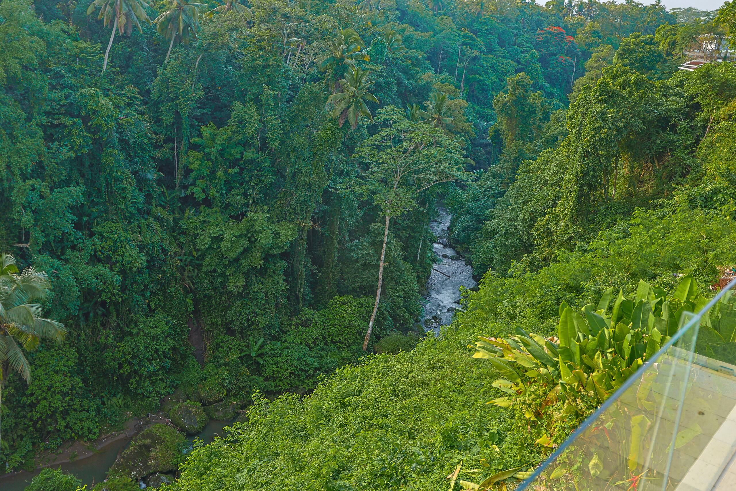 360° Sky View Jungle/River @ VillaCellaBella 18