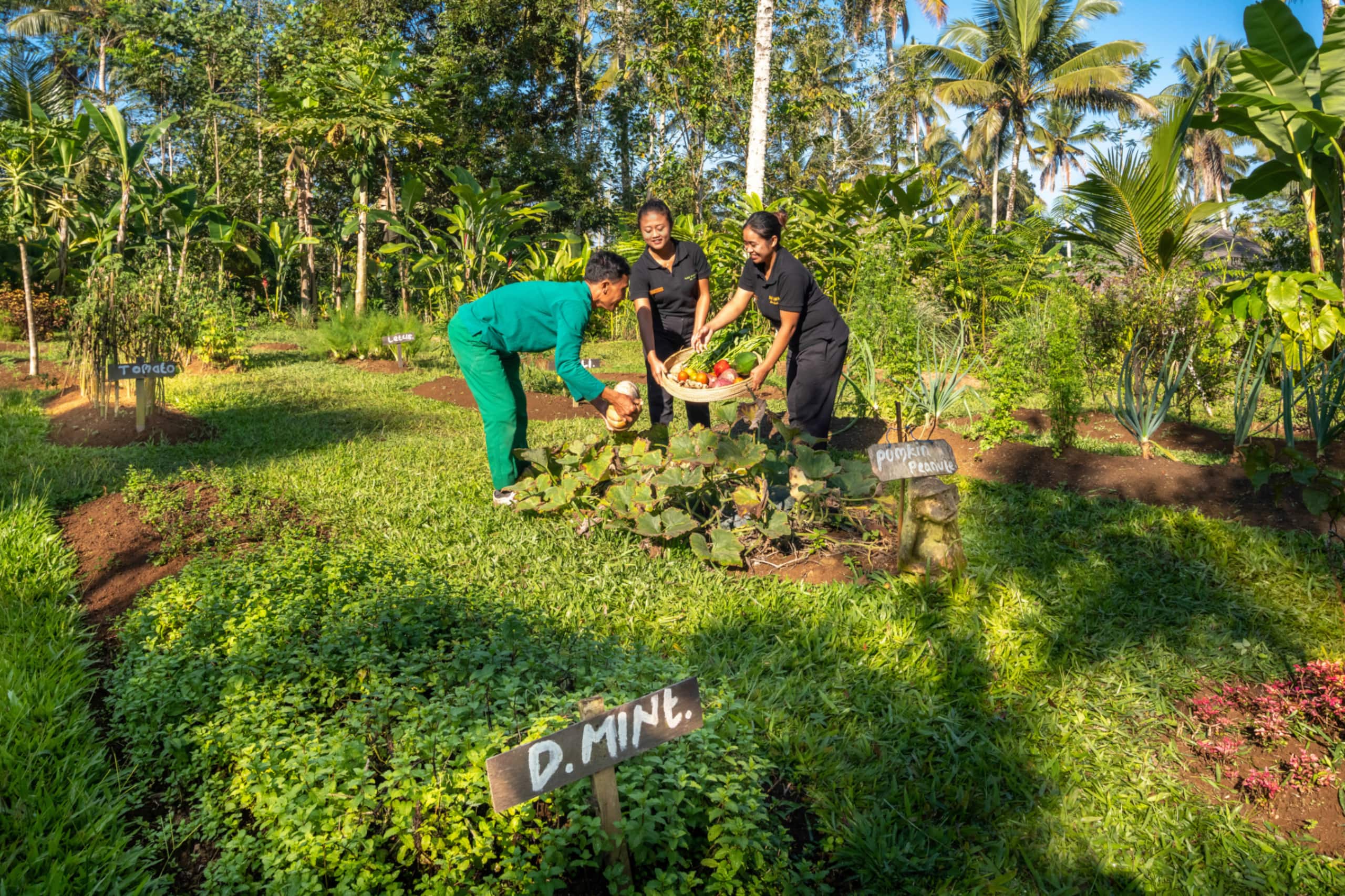 Nag Shampa, Ubud 24