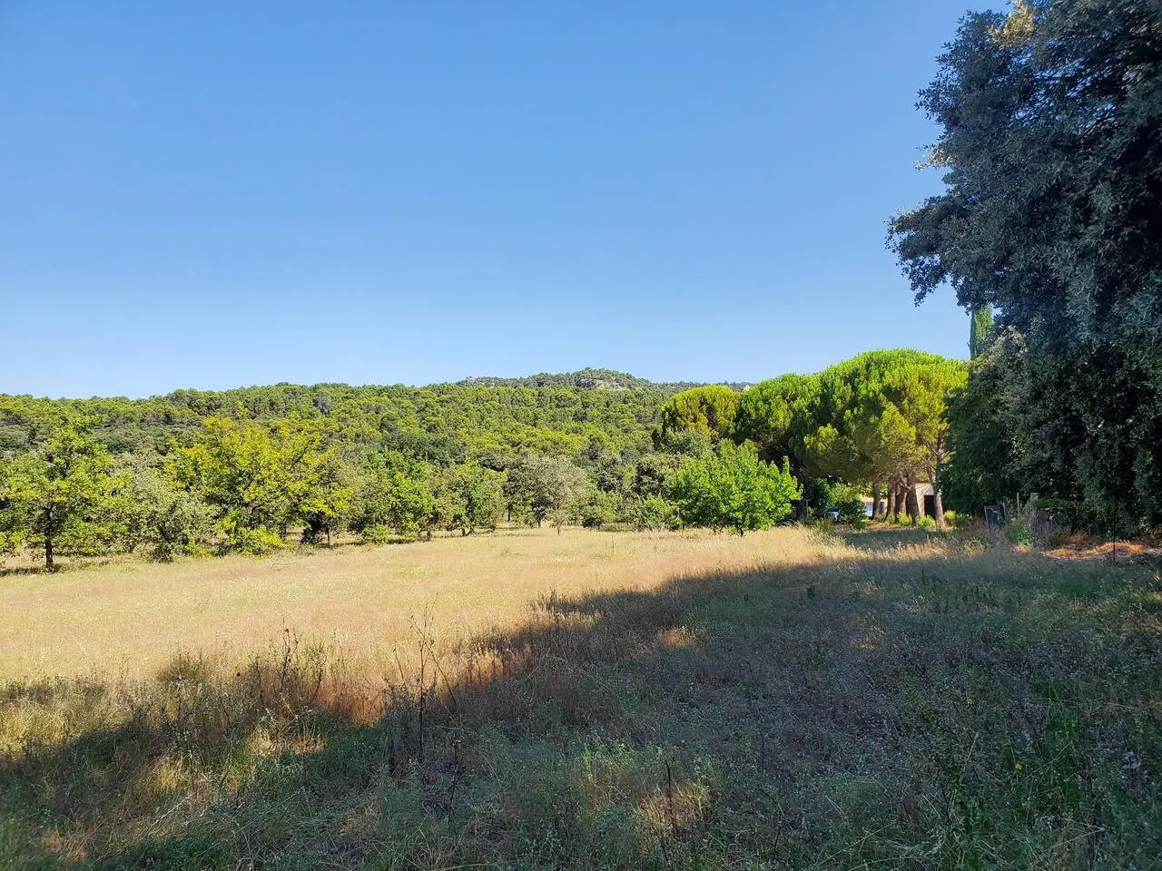 Charmant gîte pour 2 au cœur des chênes truffiers — photo 4