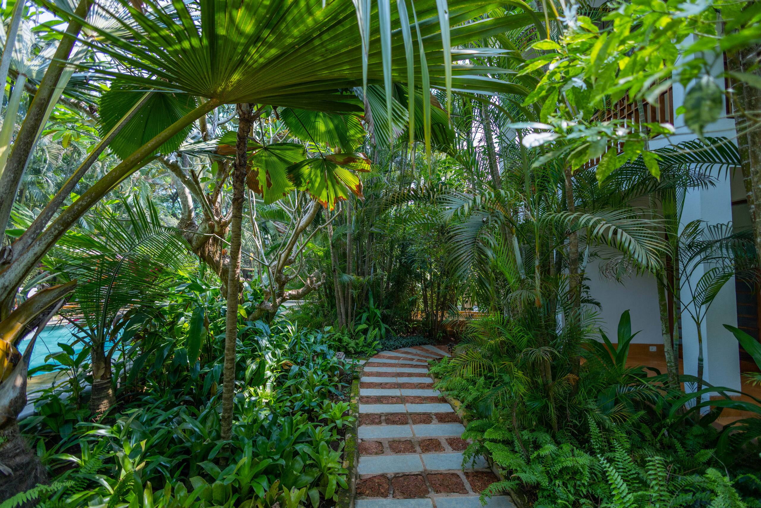 Staymaster Rohini · Luxury 2BR Plunge Pool Villa 15