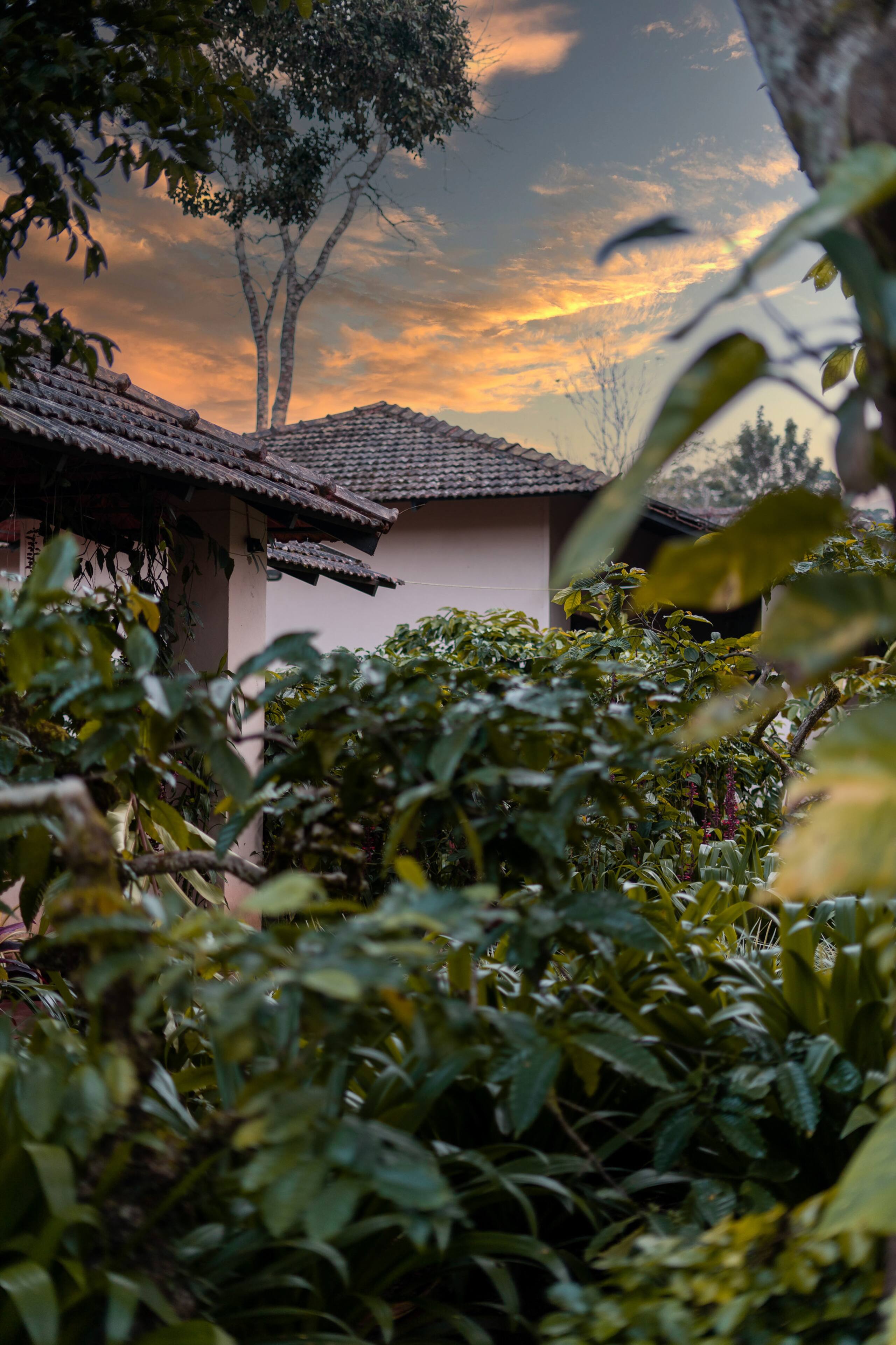 Plantation Cottage @ Magnolia Estate, Coorg 17