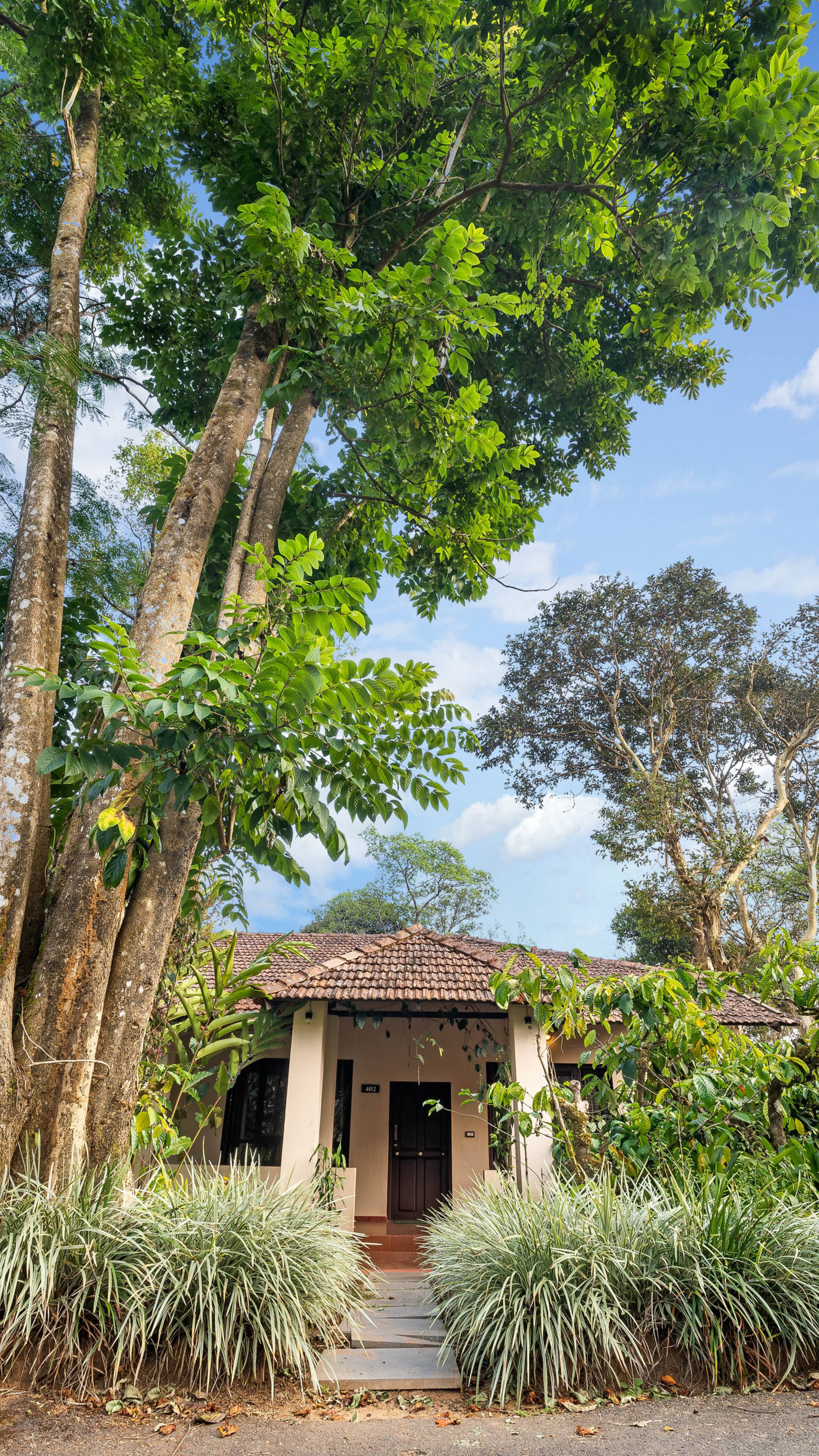 Plantation Cottage @ Magnolia Estate, Coorg — photo 4