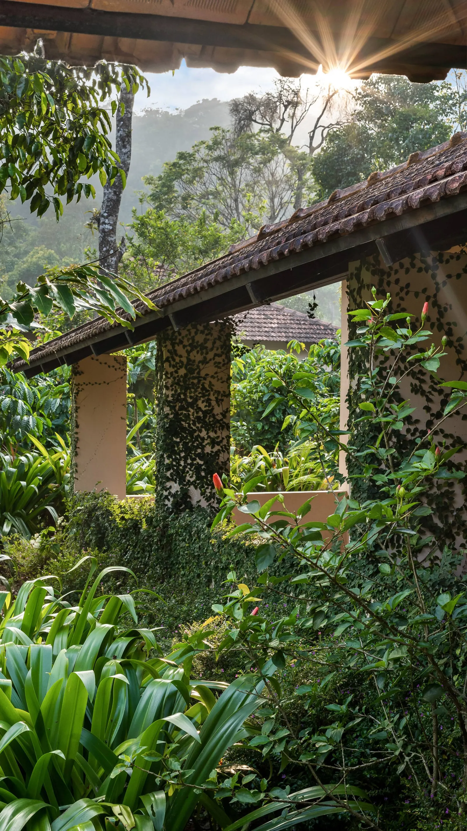 Plantation Cottage @ Magnolia Estate, Coorg 15