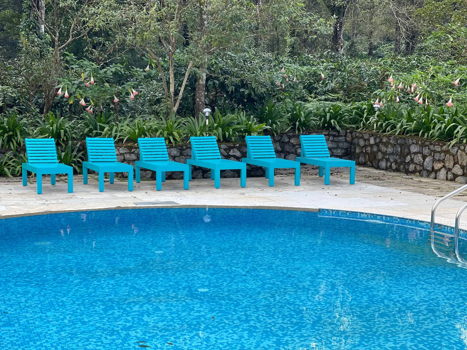 Plantation Cottage @ Magnolia Estate, Coorg 32