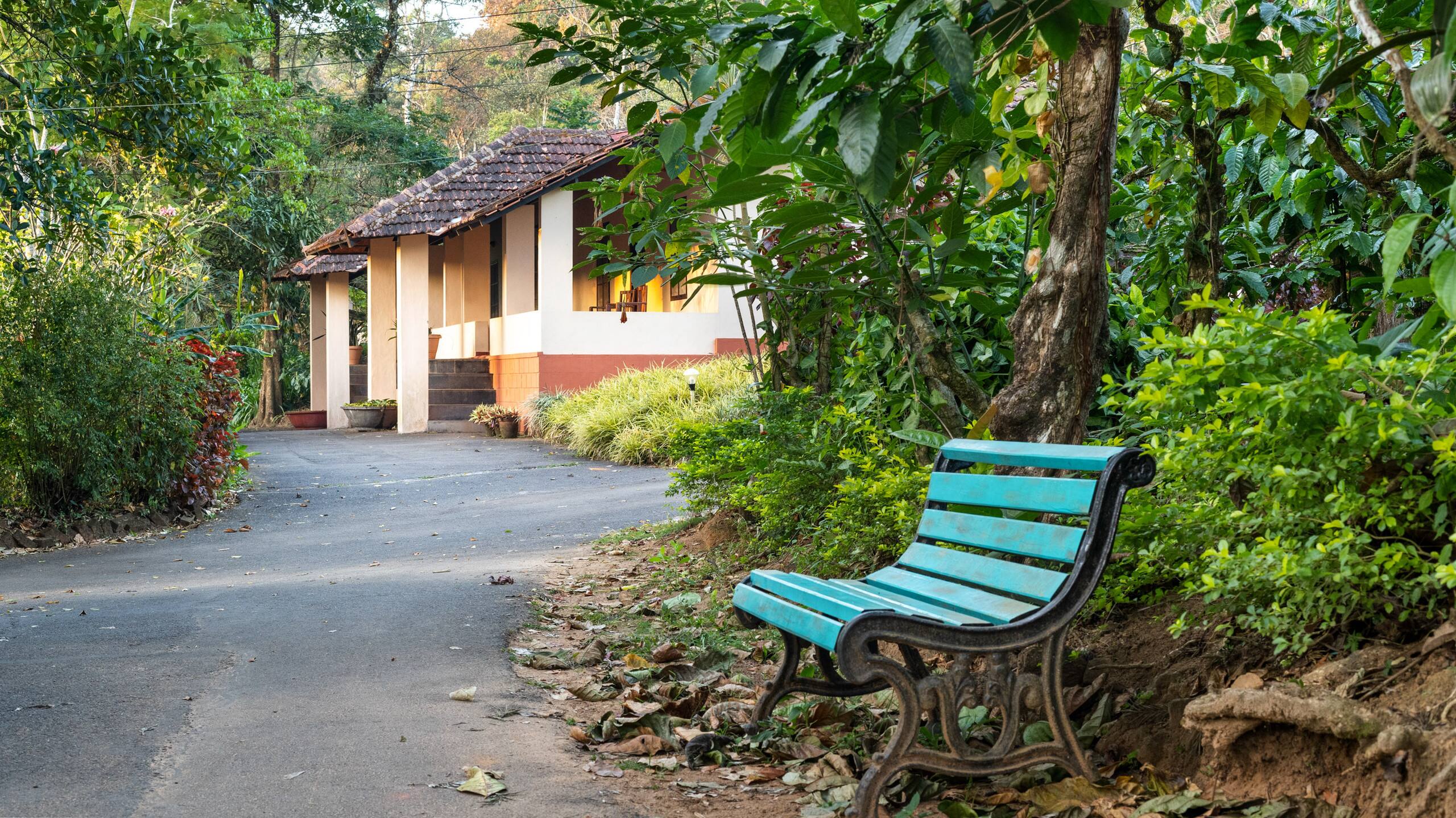 Plantation Cottage @ Magnolia Estate, Coorg 19