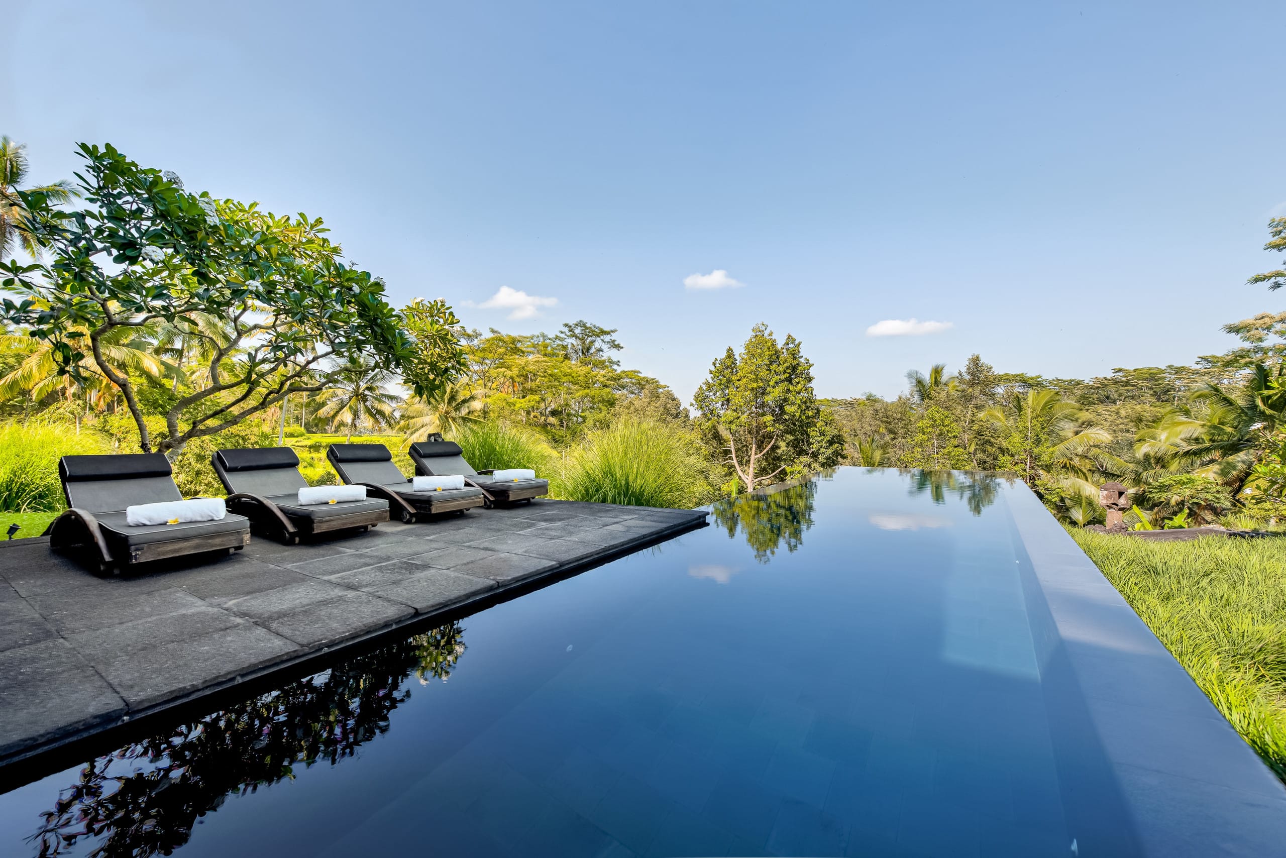 Magical Rice Field 4 Bedroom Villa Private Pool — photo 5