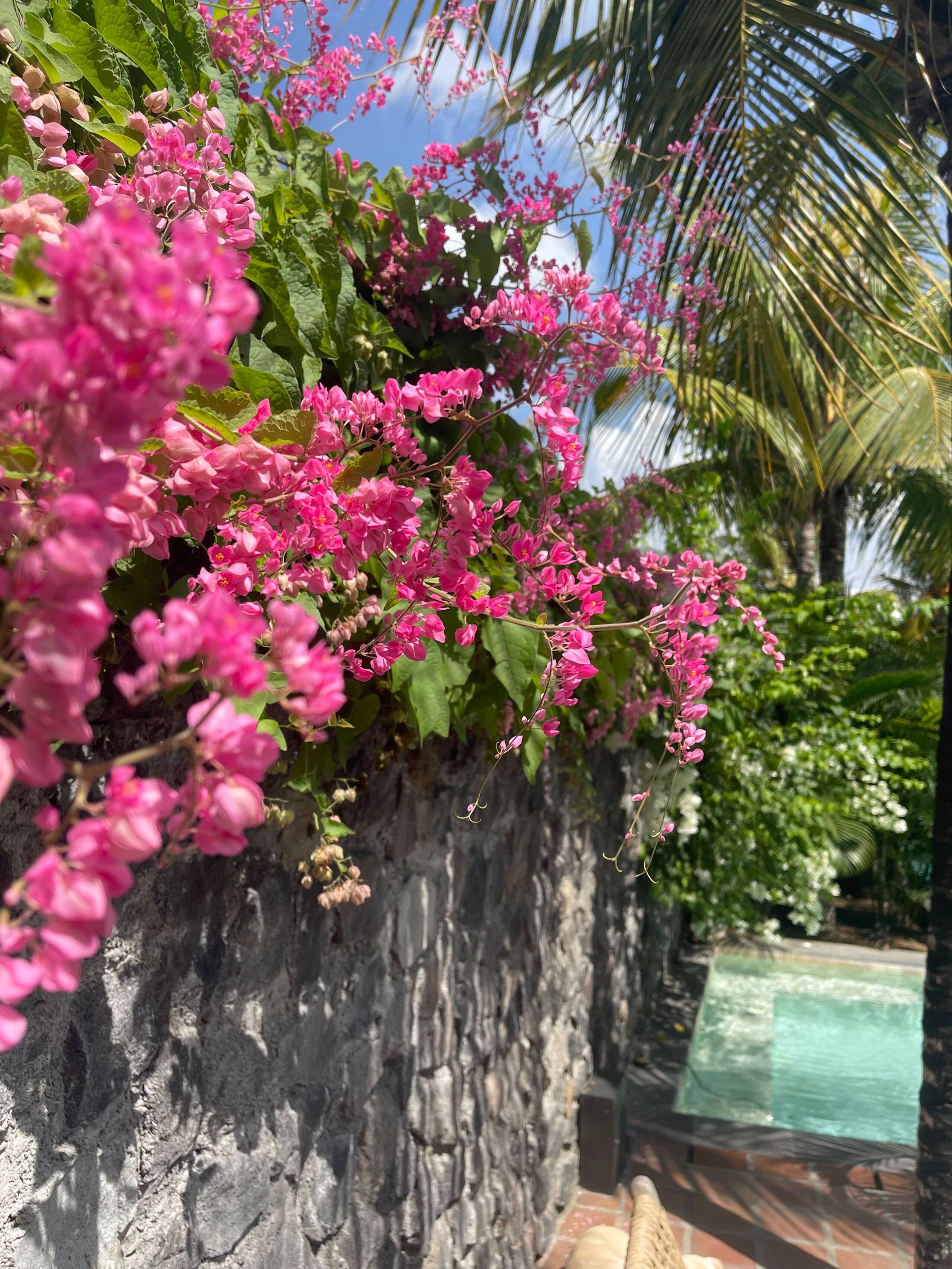 Villa Casali 3/4BR family retreat with 18m pool. 6
