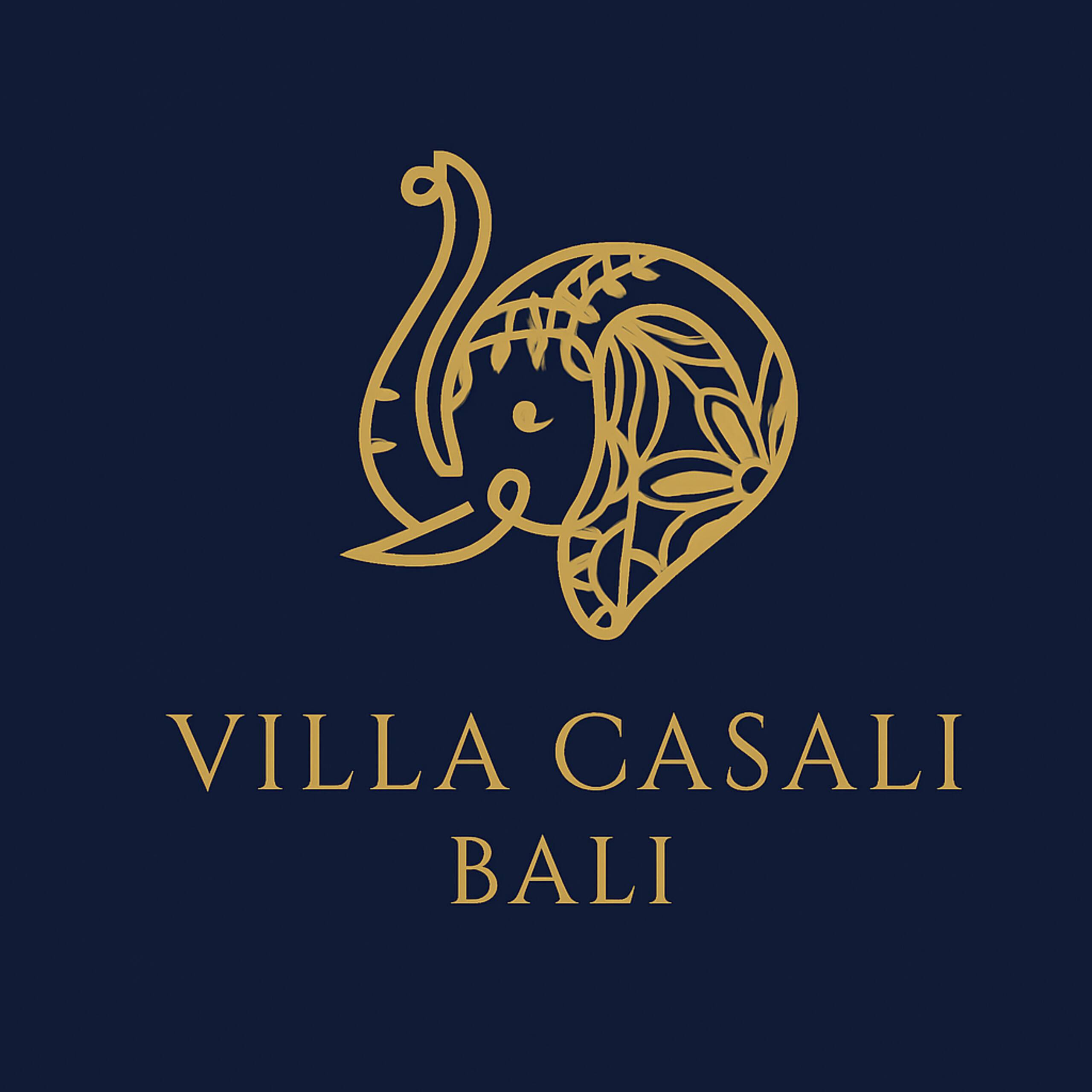 Villa Casali 3/4BR family retreat with 18m pool. 35