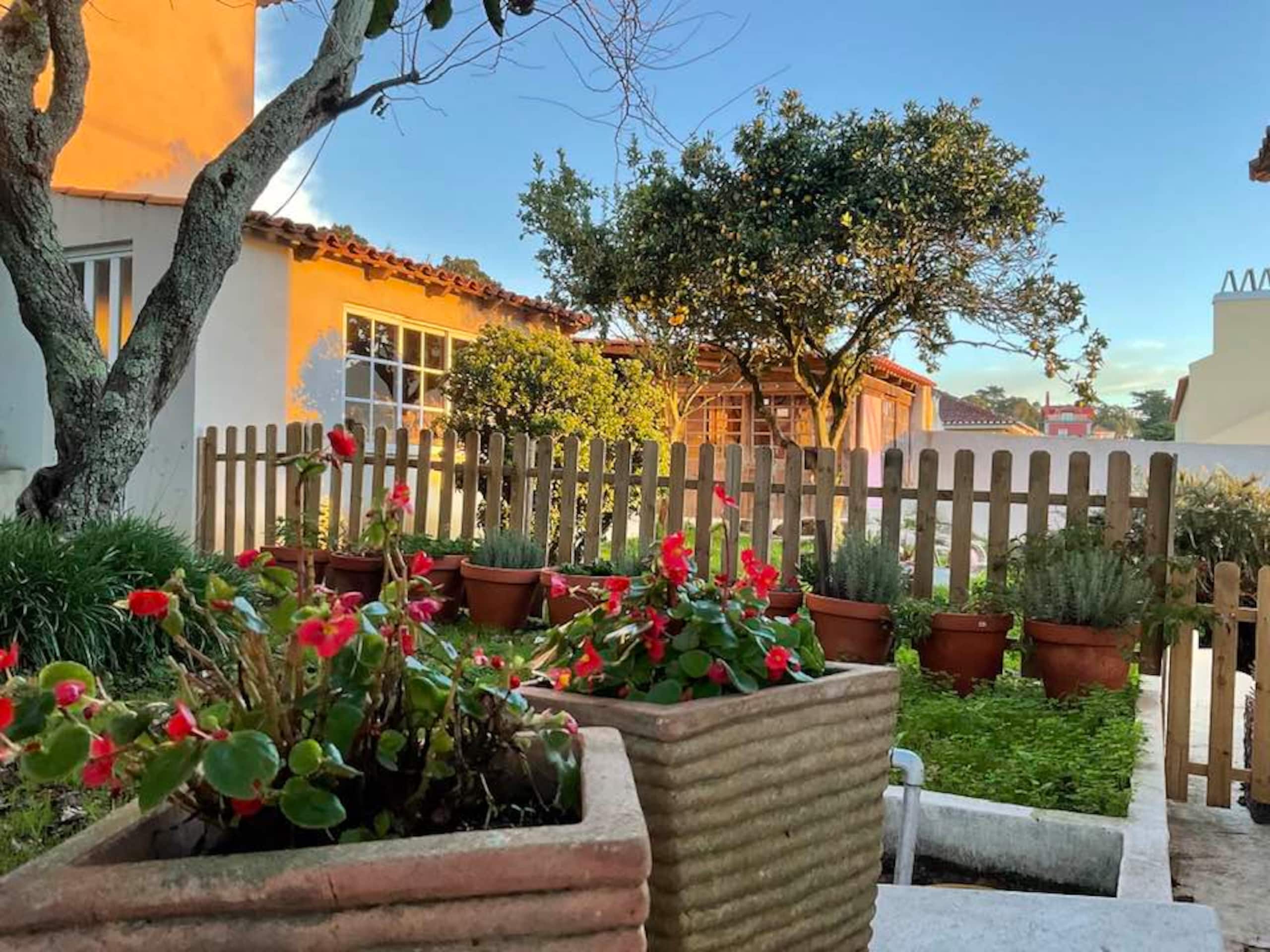 Cosy Loft in Sintra with good energy 15