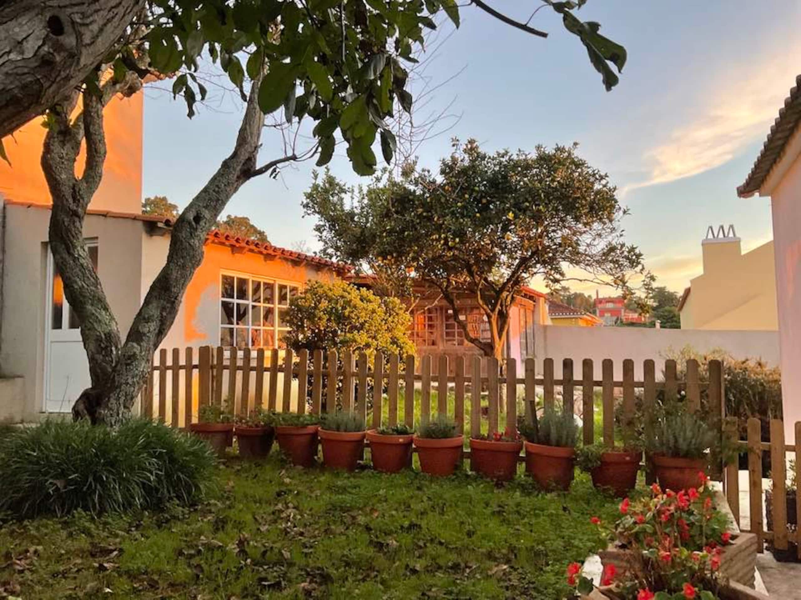 Cosy Loft in Sintra with good energy 8