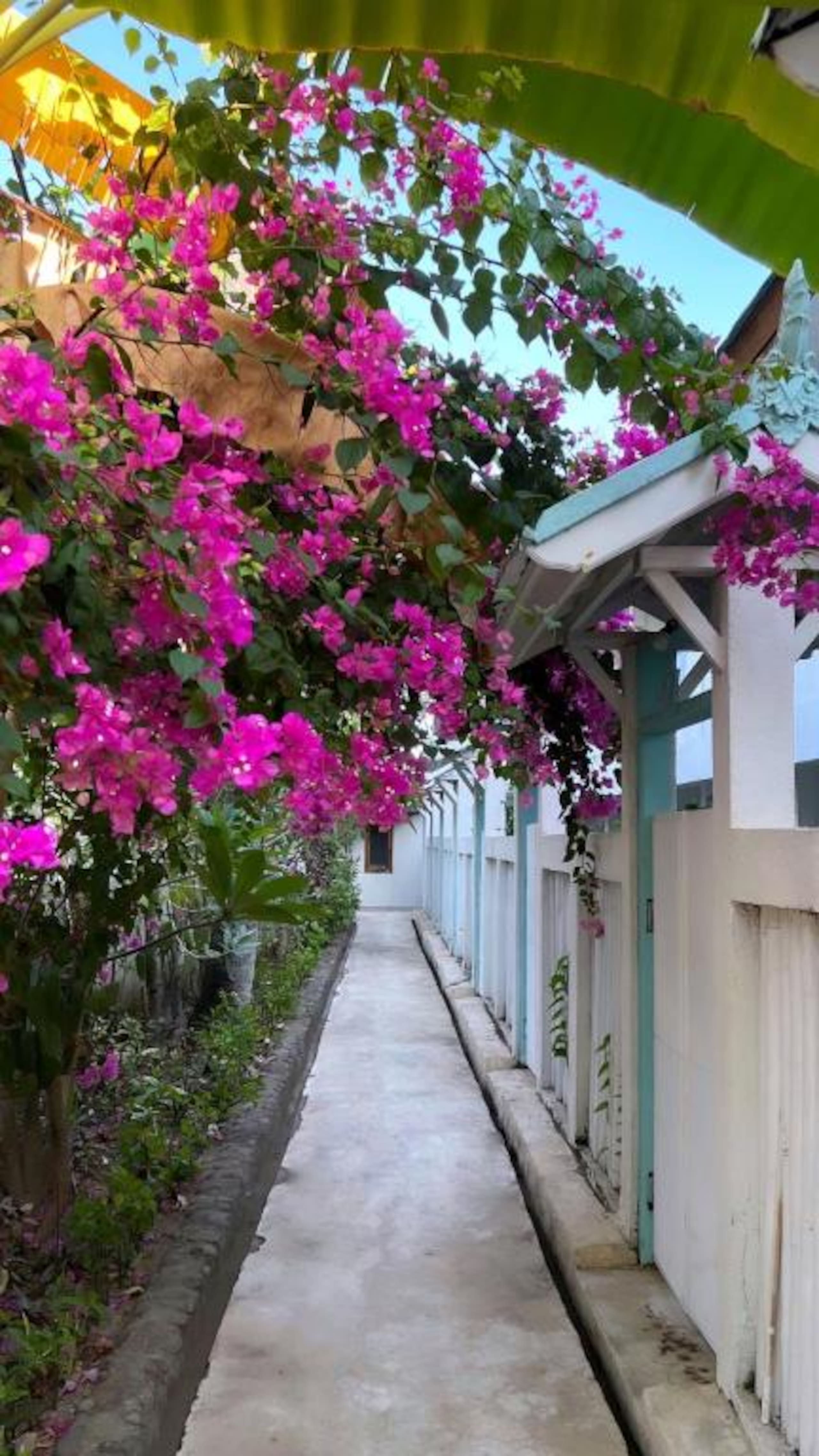 Shore 2 Bedroom Cottage 21