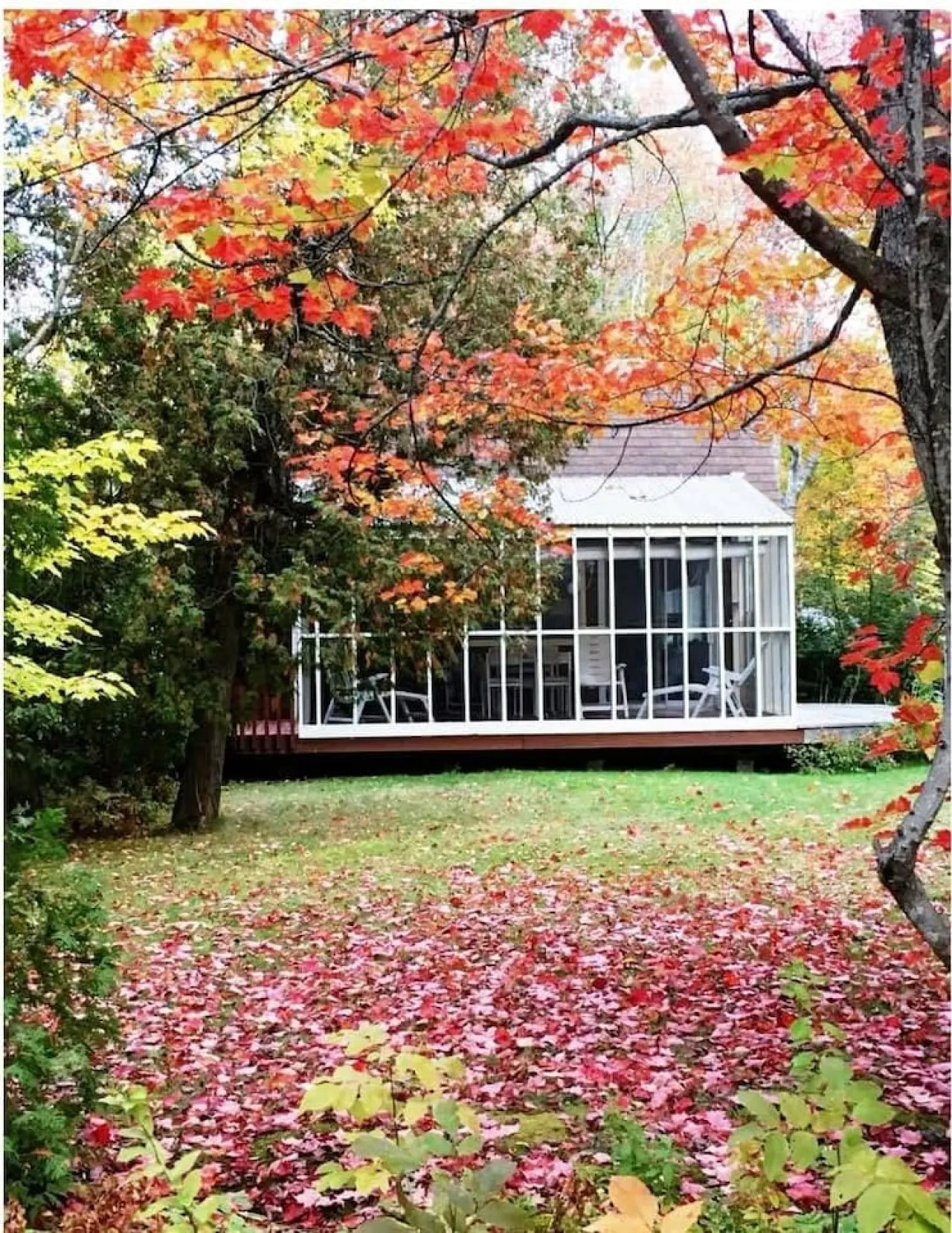 Rustic Retreat- Bois Joli Beach — photo 2