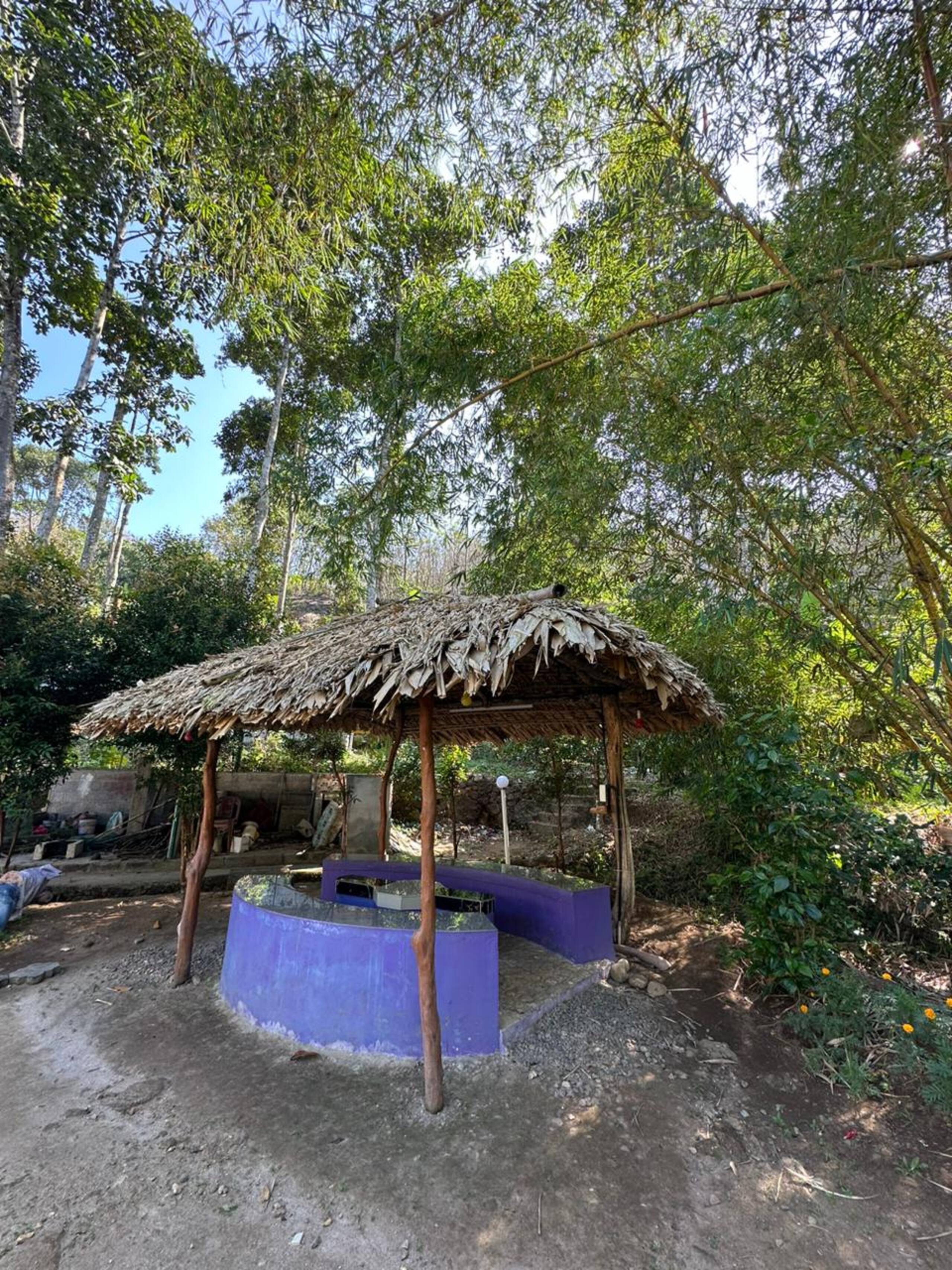 Vasco's Farm House. 6