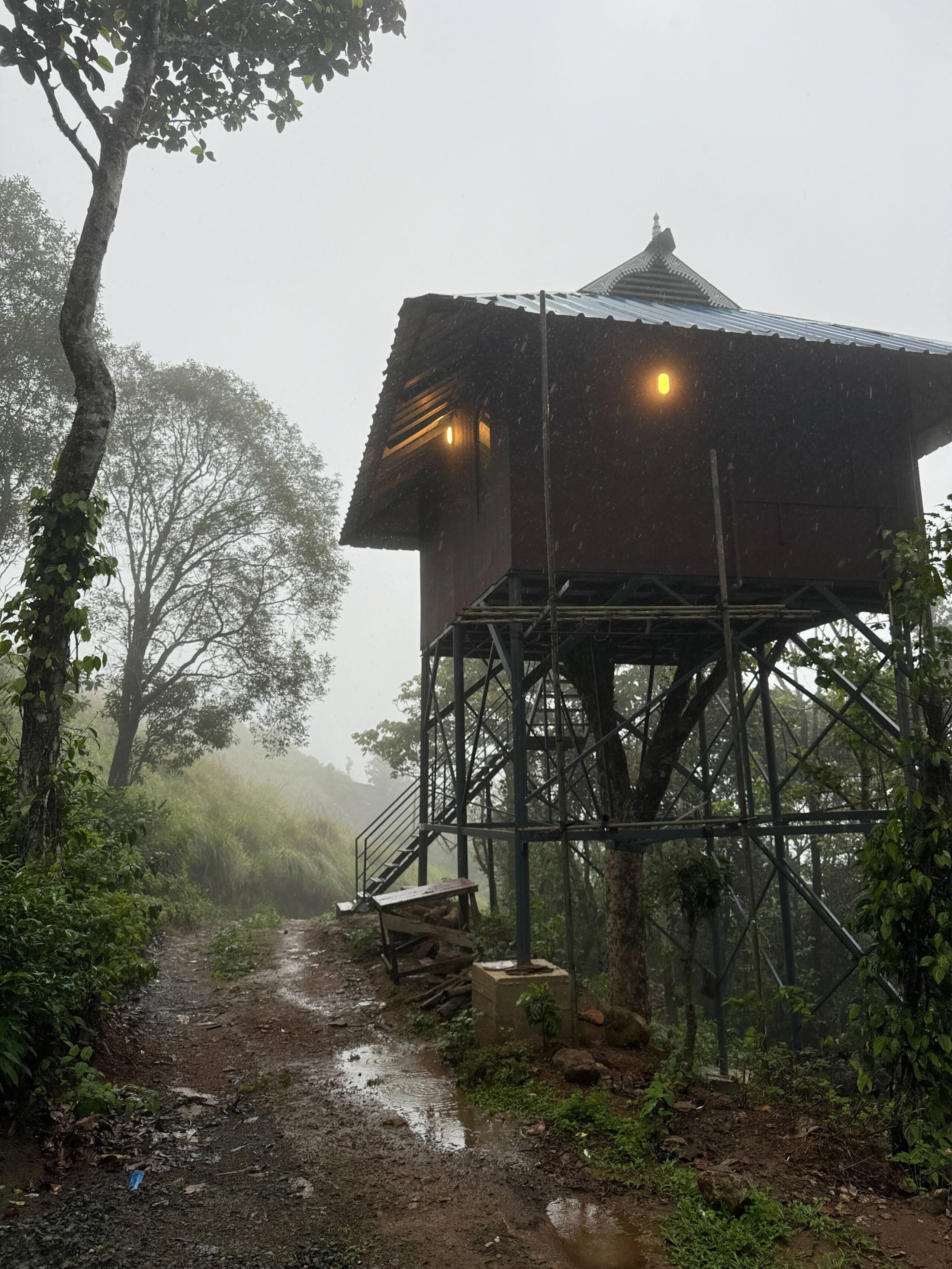 Tree House @Thumpayil Hills Tea Plantation Vagamon 3
