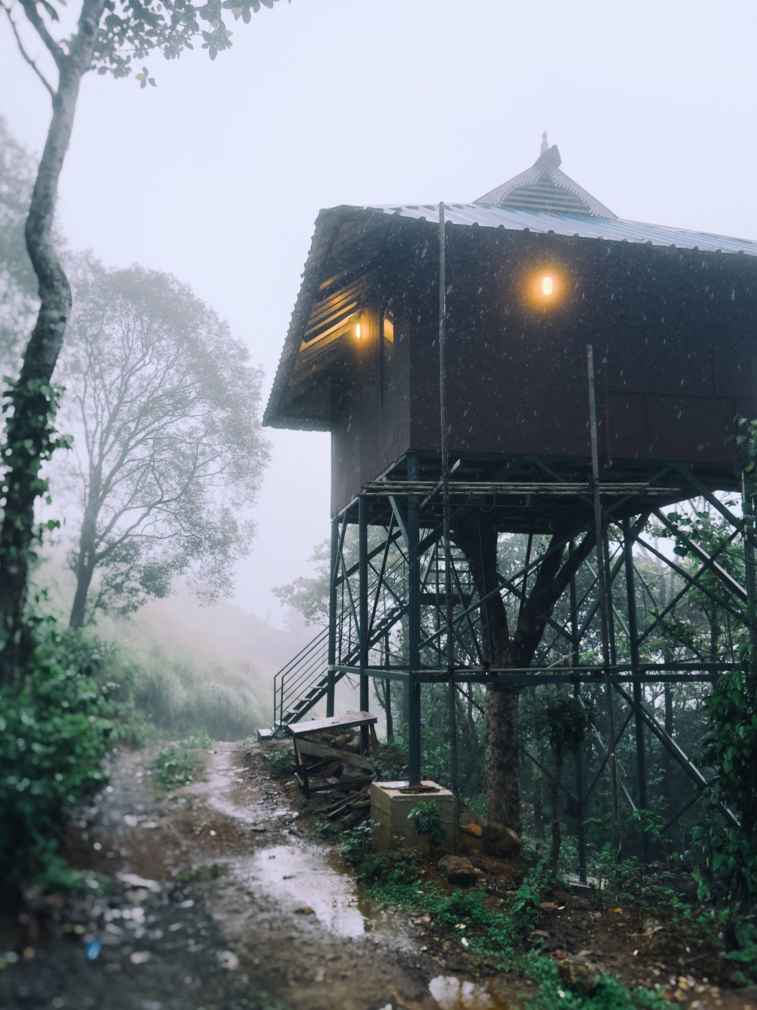 Tree House @Thumpayil Hills Tea Plantation Vagamon 13